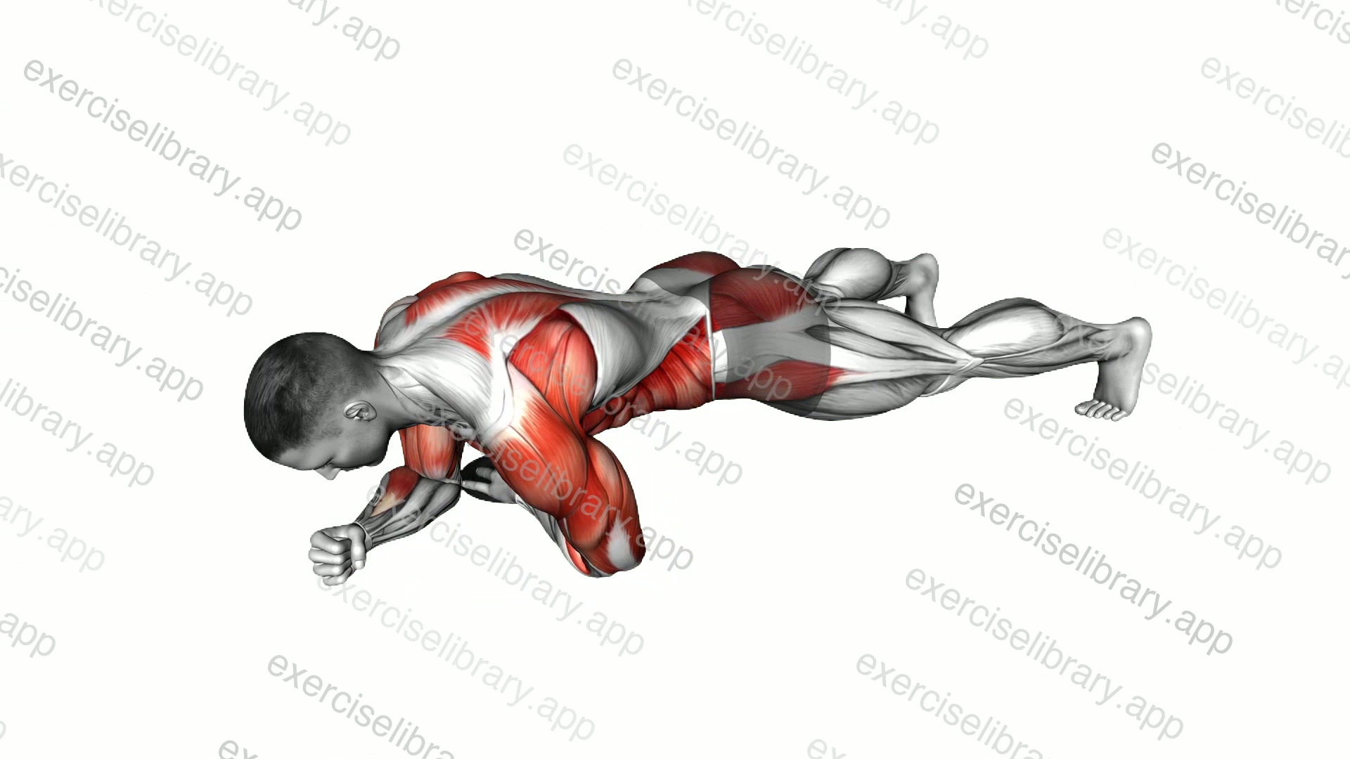 Plank Prone Plate Switch demonstration