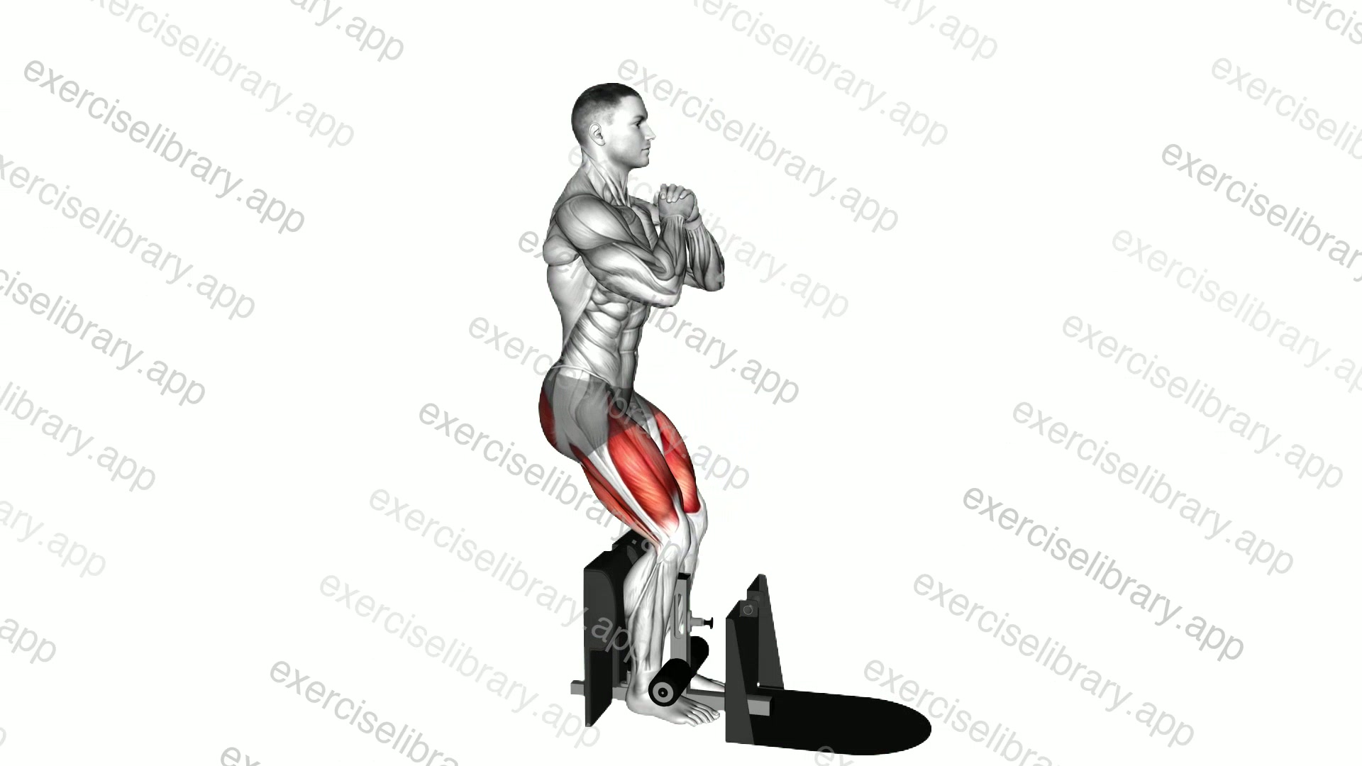 Bodyweight Supported Squat demonstration