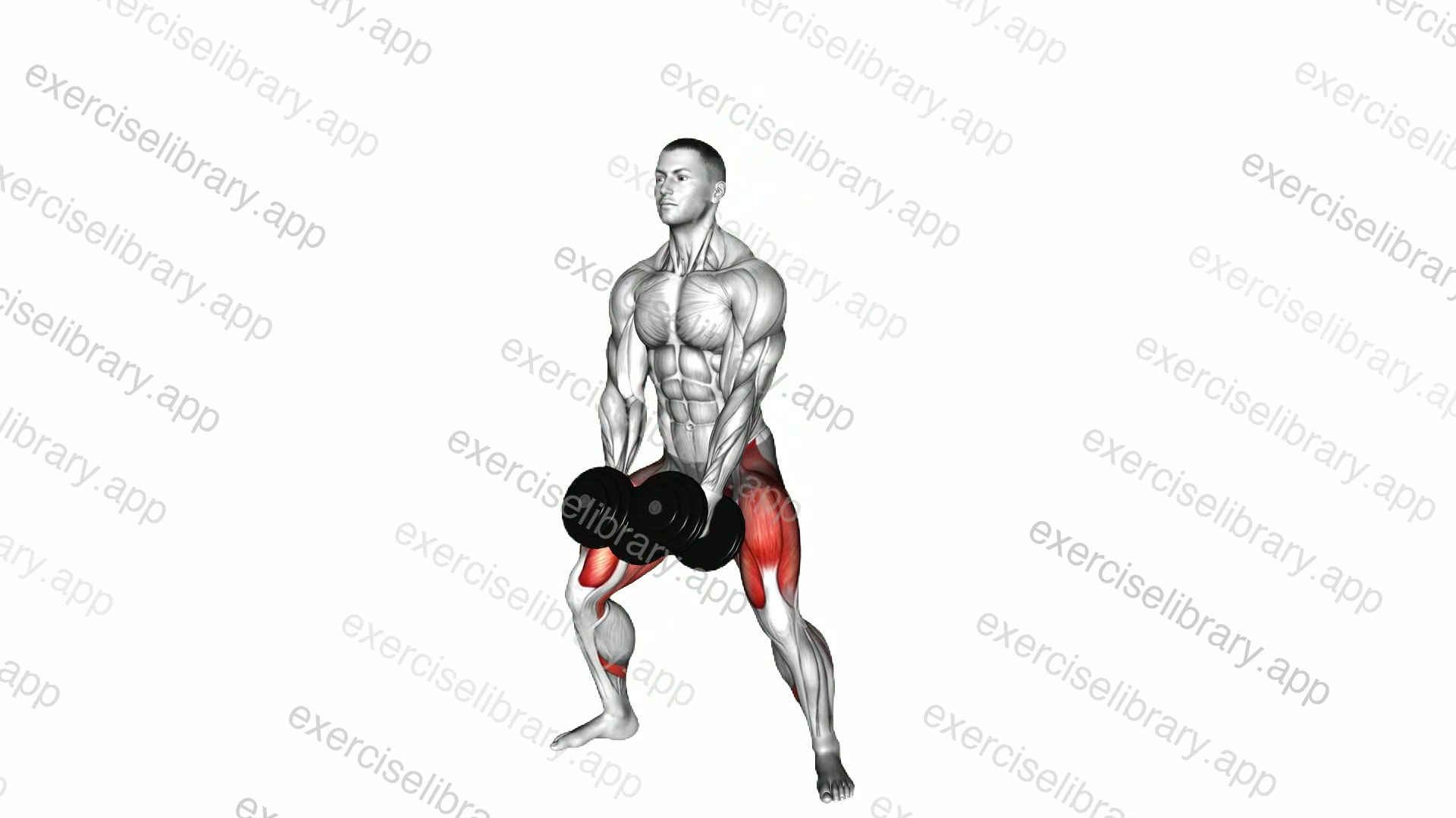 Dumbbell Wide Squat demonstration