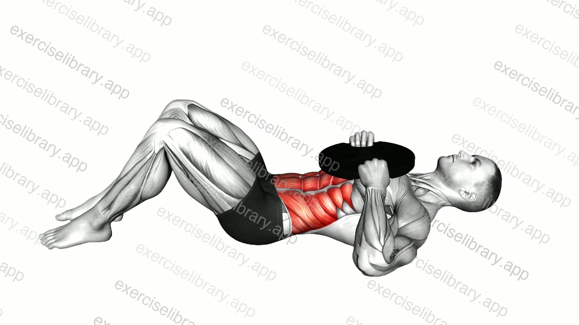 Weighted Plate Lying Crunch demonstration
