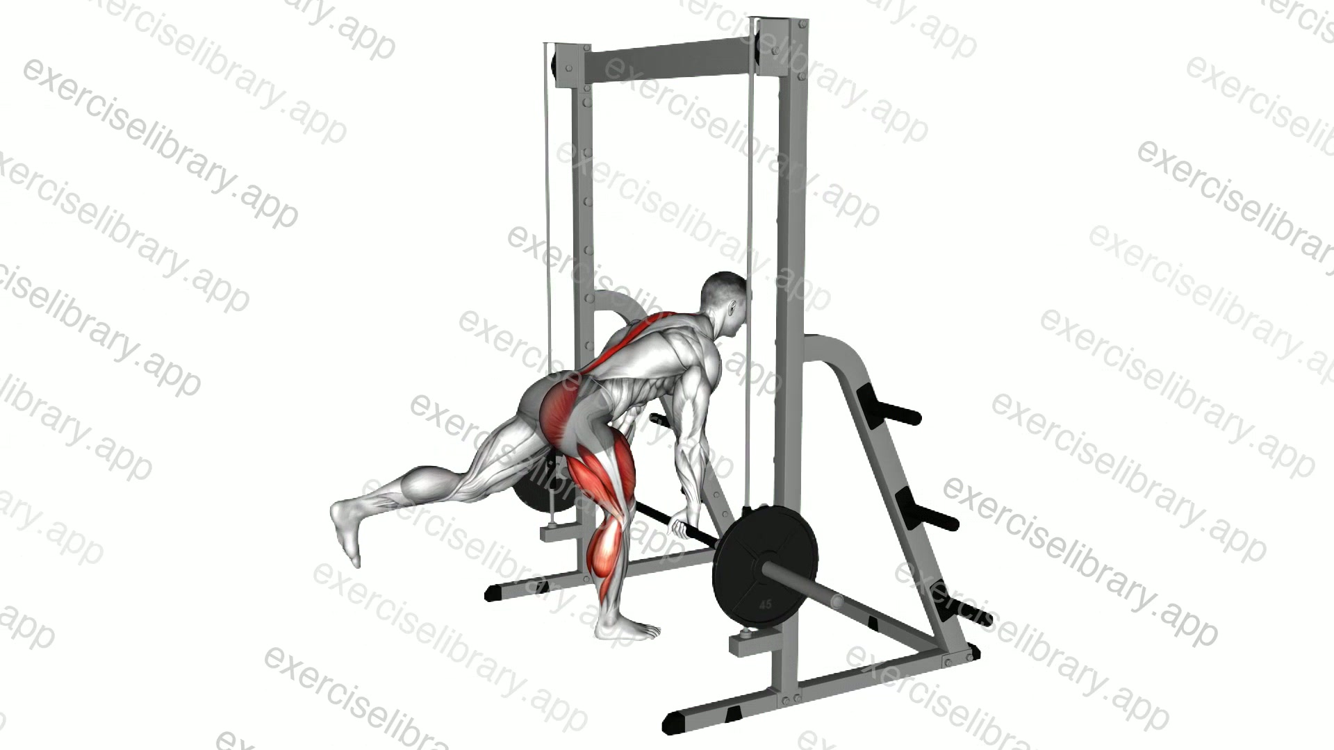 Smith Single Leg Deadlift demonstration