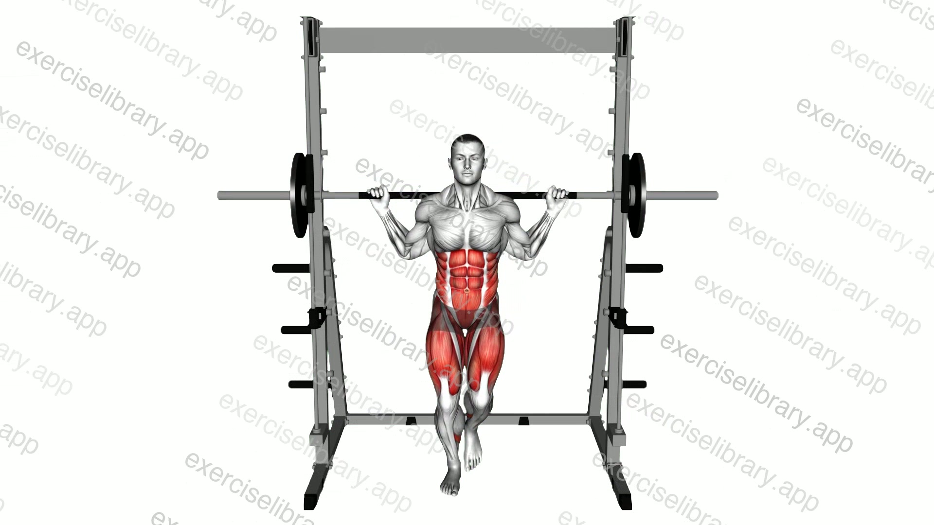 Smith Curtsey Lunge demonstration