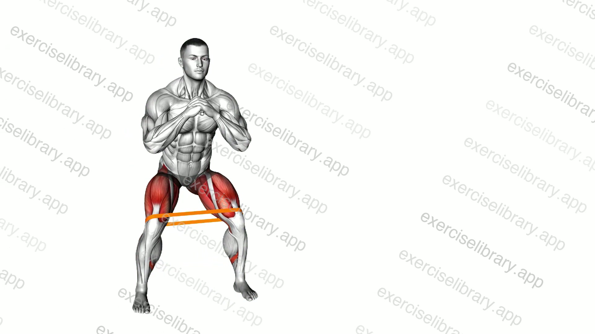 Resistance Band Lateral Walk demonstration