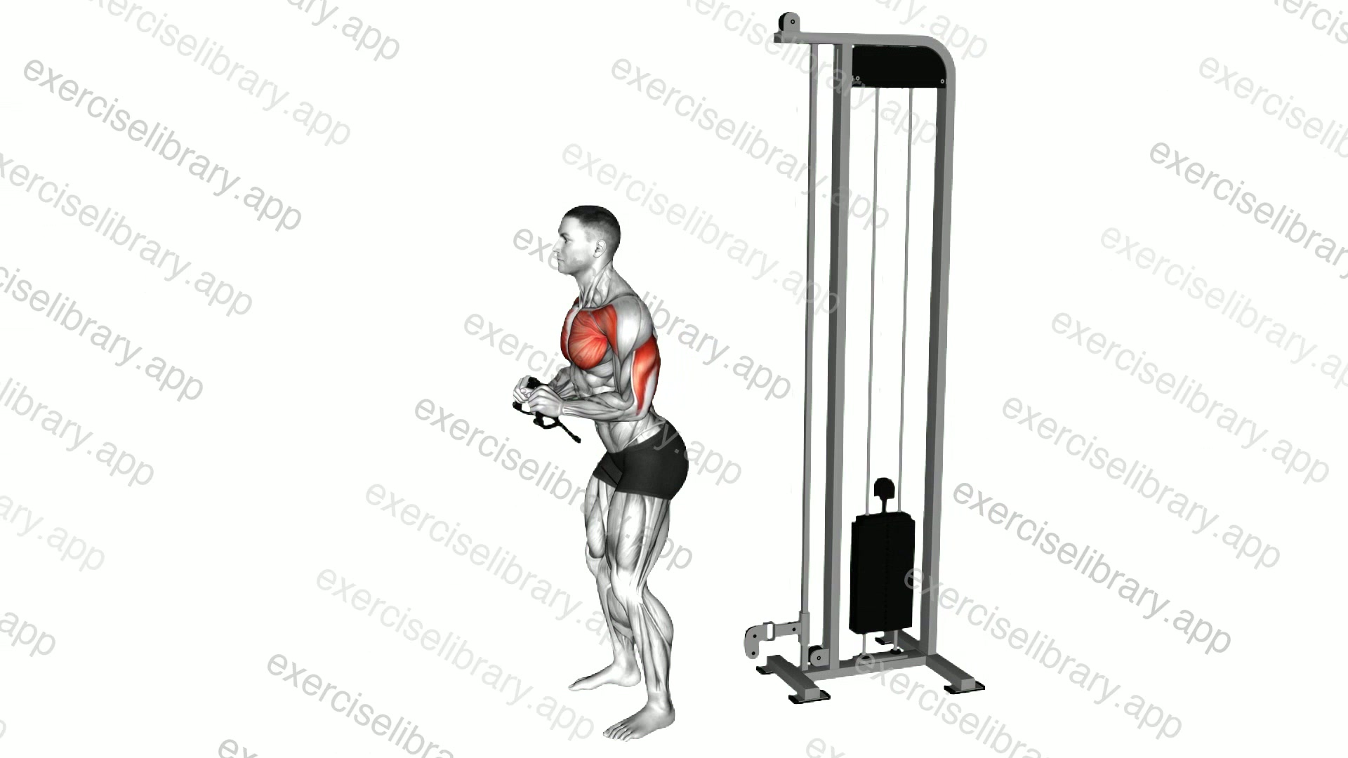 Cable Standing Squeeze Upper Chest Press demonstration