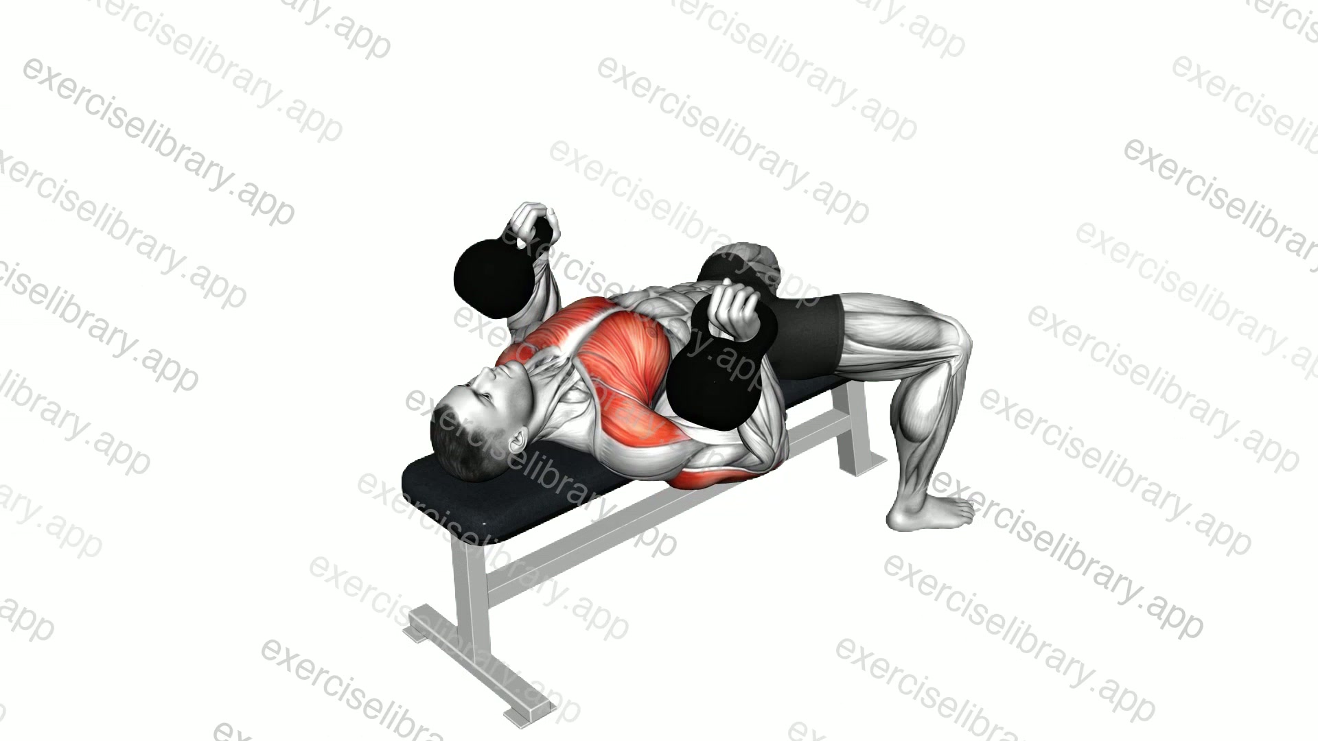 Kettlebell Bench Press demonstration