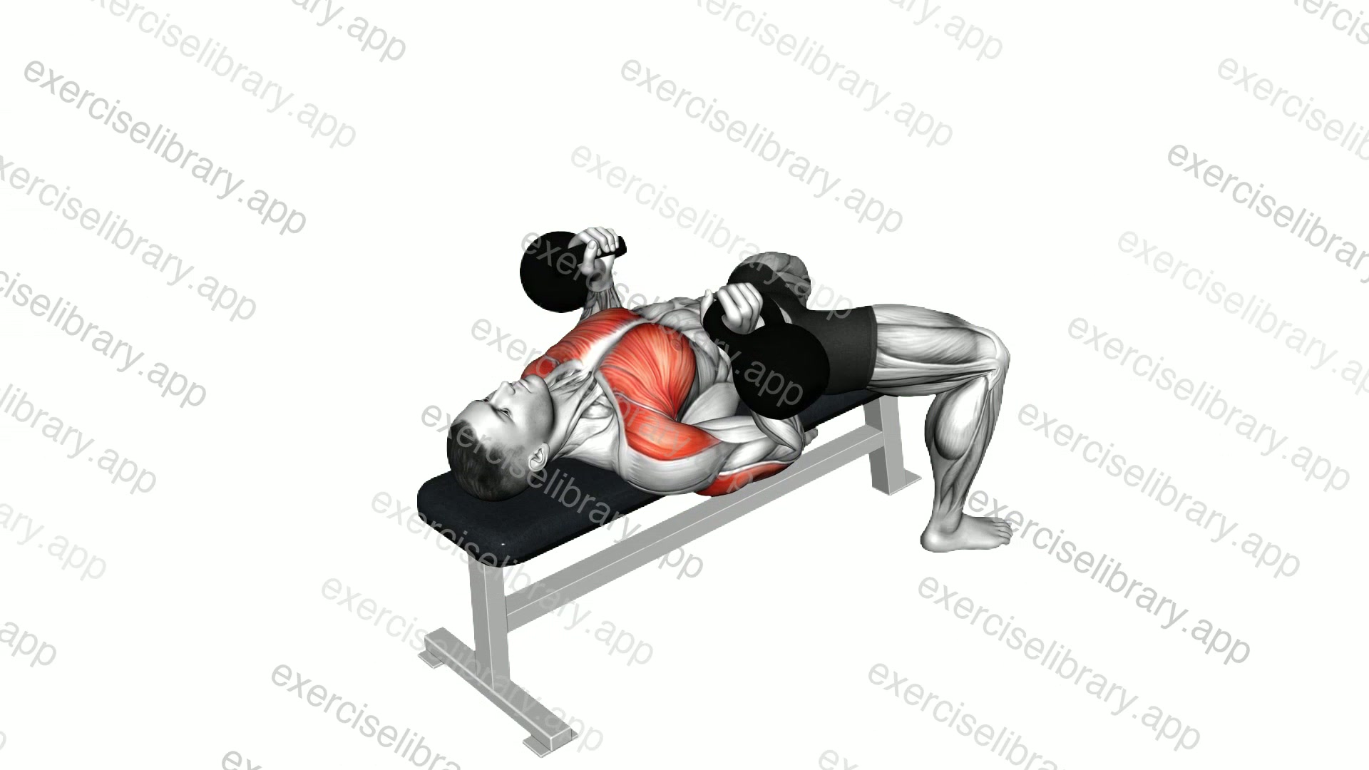 Kettlebell Neutral grip Bench Press demonstration