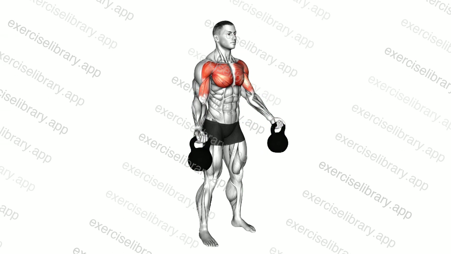 Kettlebell Low Fly demonstration