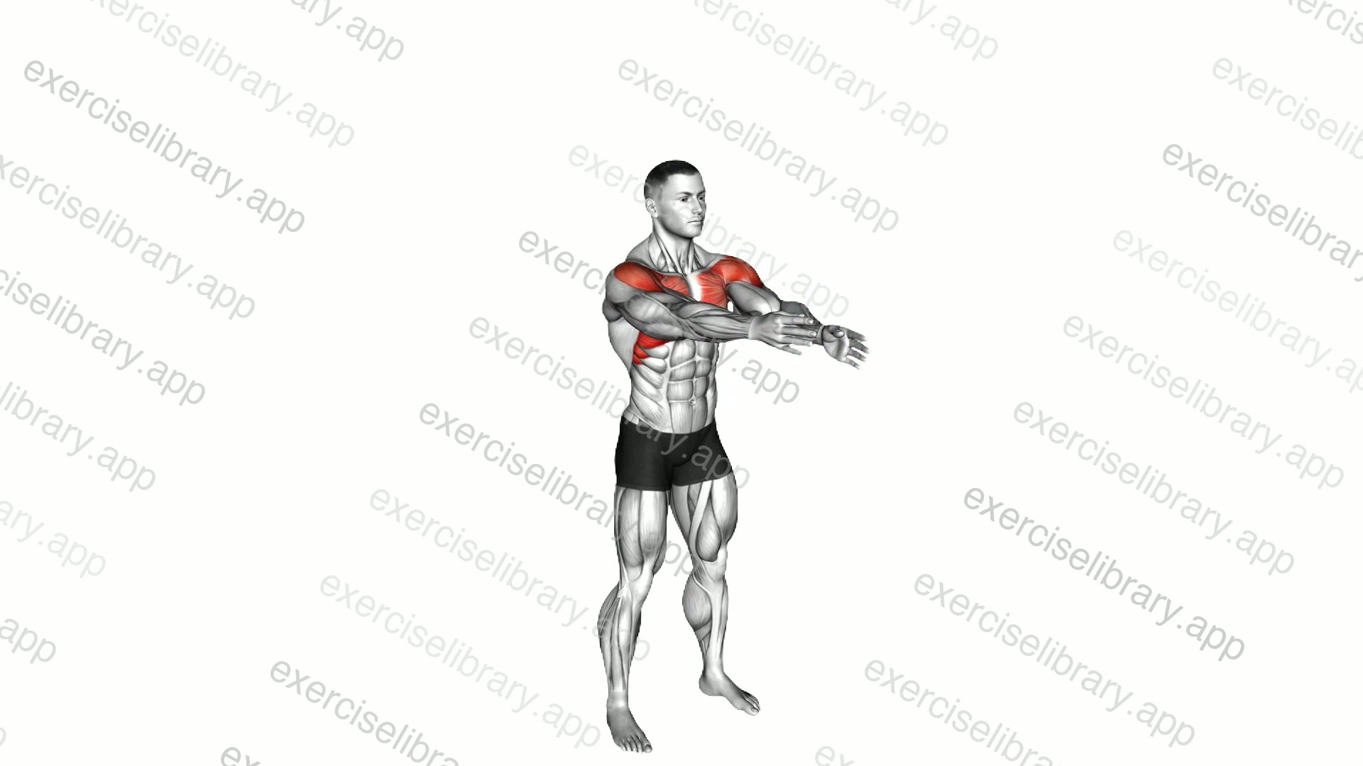 Criss Cross Arms Lift demonstration