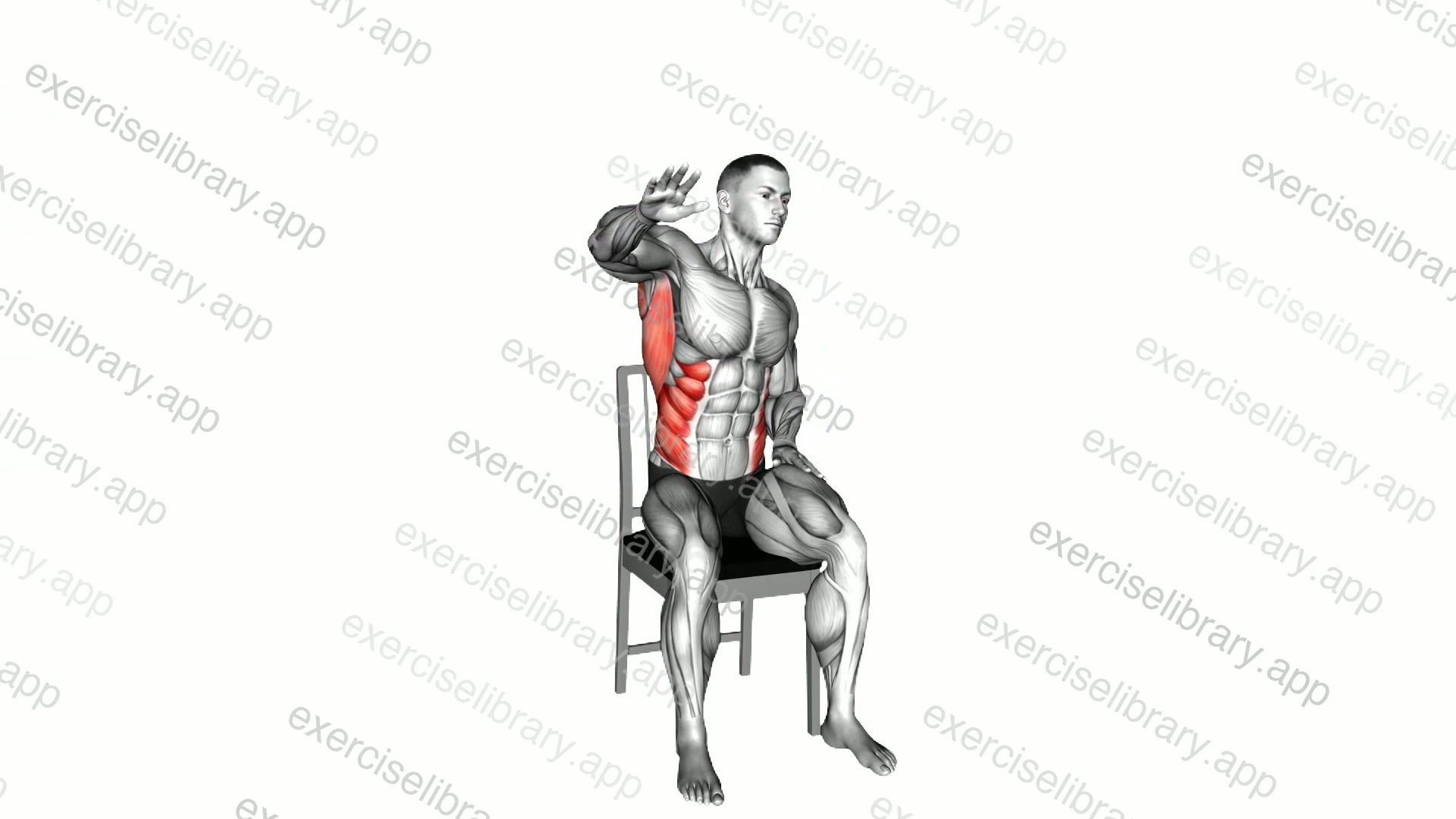 Diagonal Reach on Chair demonstration