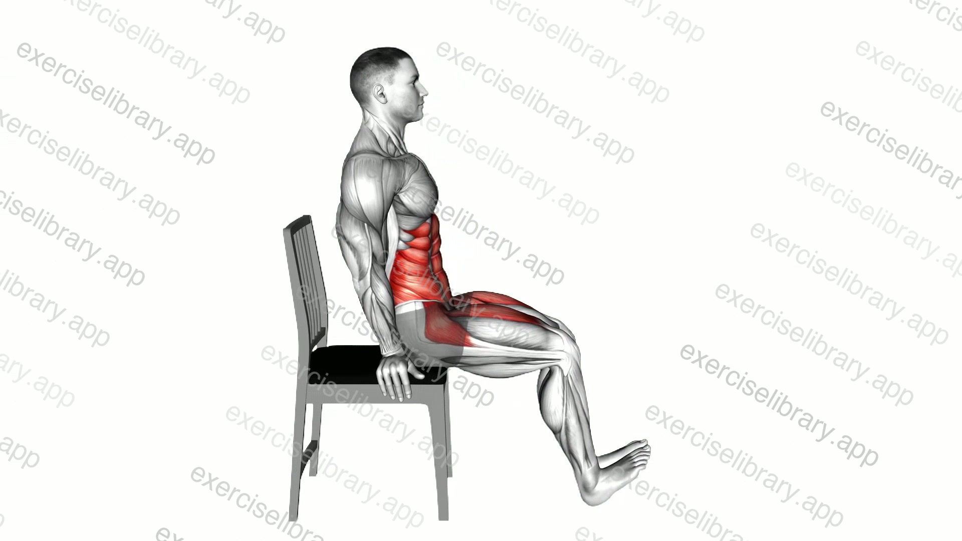 Leg Raises Hold on Chair demonstration