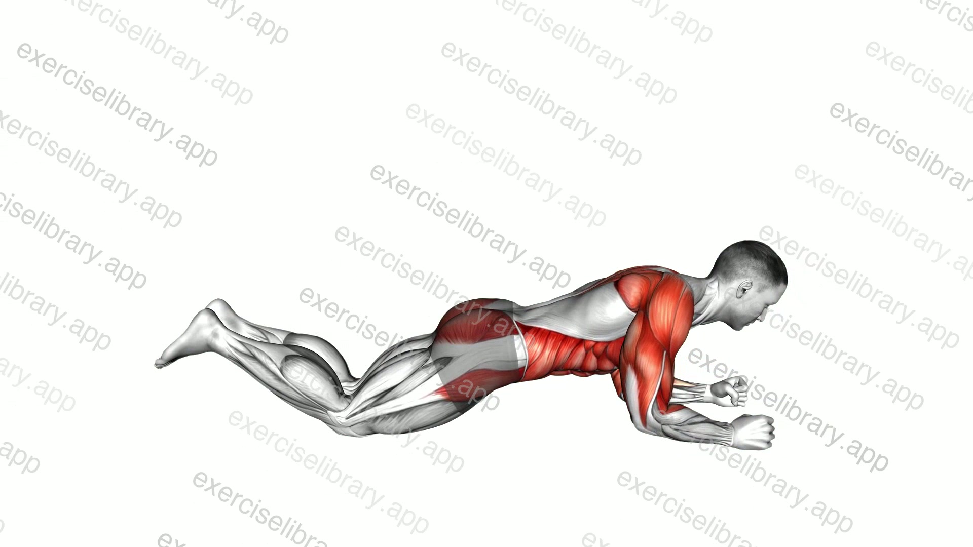 Kneeling Dynamic Plank demonstration