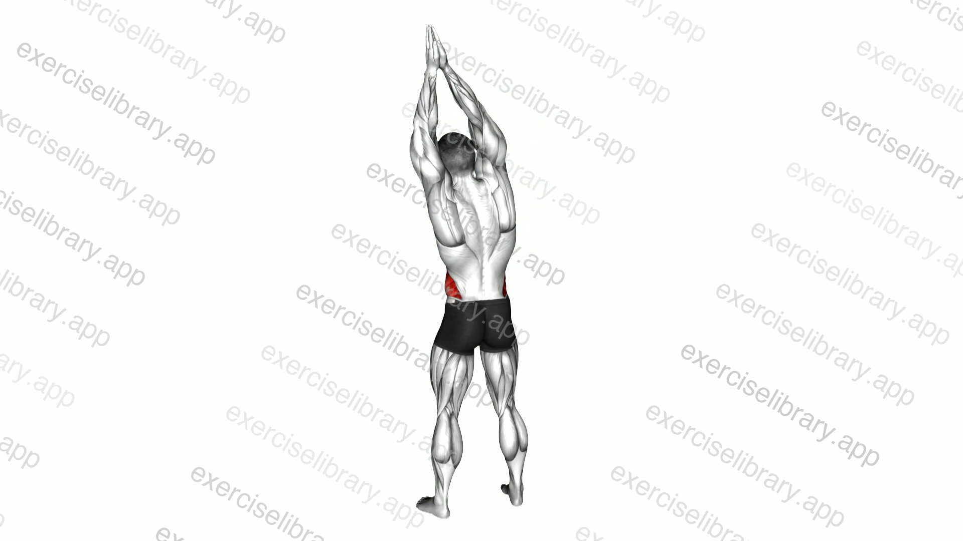 Side Bend Arms Above demonstration