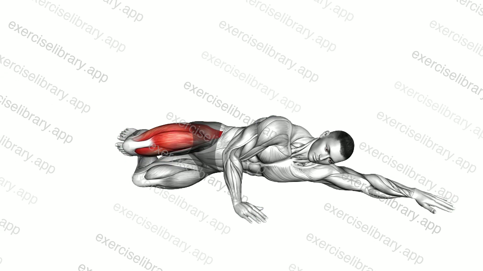 Side Lying Clam and Kick demonstration