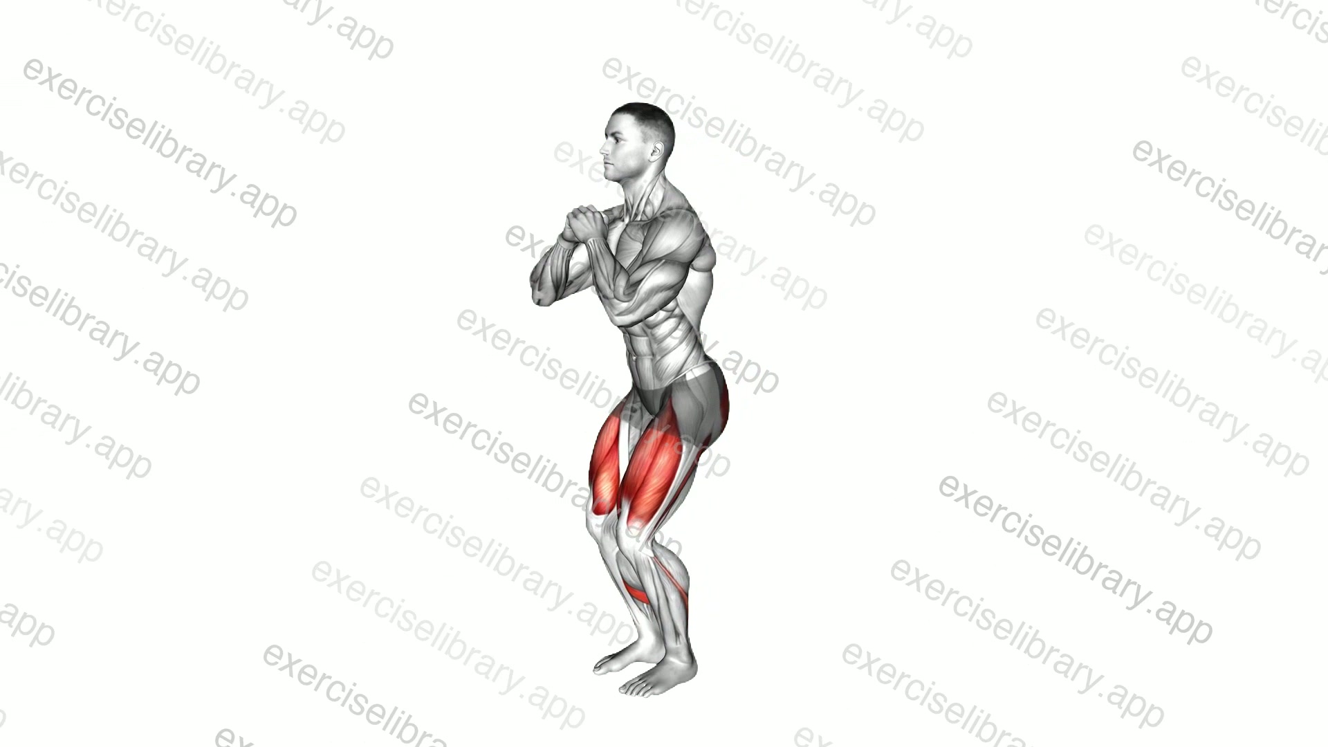 Bodyweight Narrow Squat demonstration