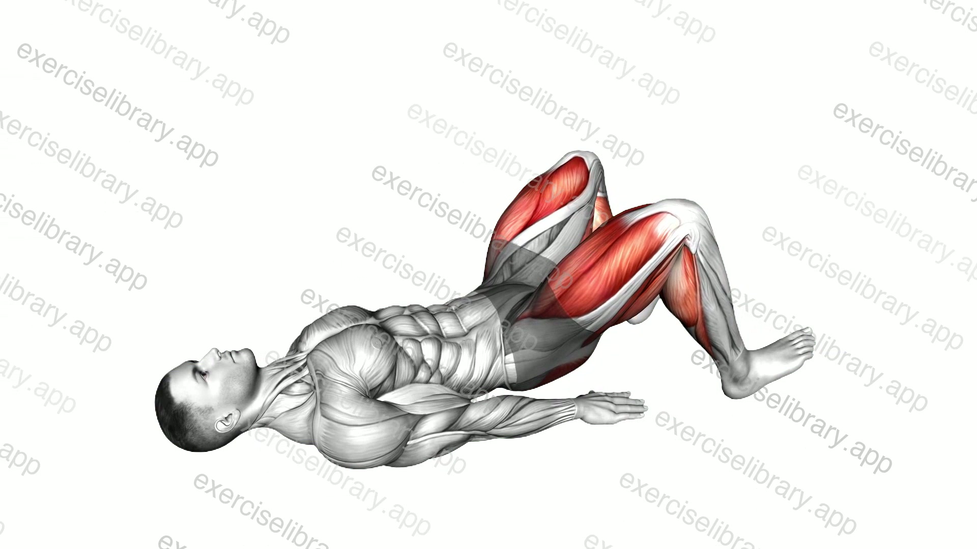 Heel Glute Bridge demonstration