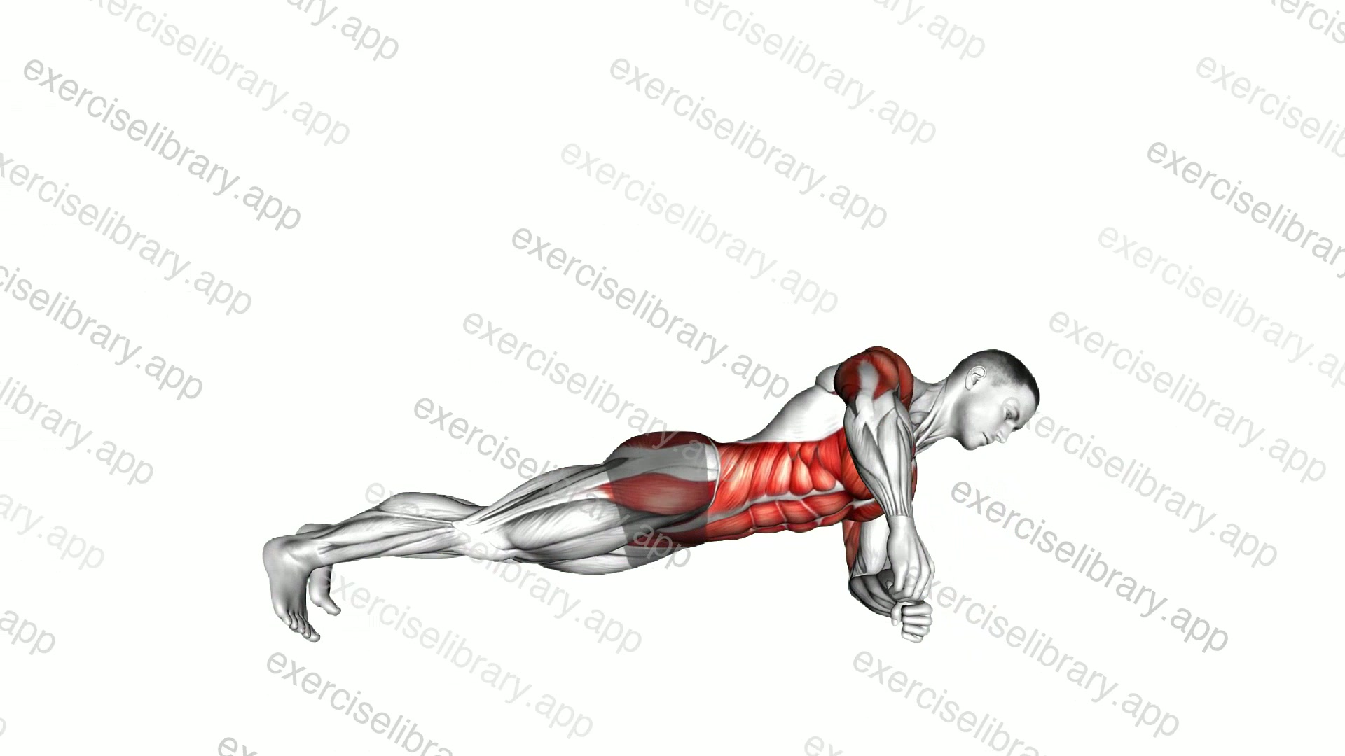 Roll Press Plank demonstration