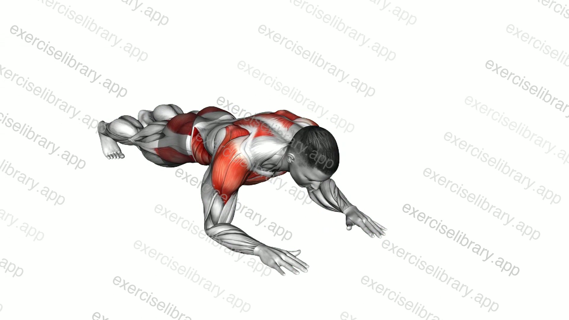 Lateral Elbow Plank Walk demonstration