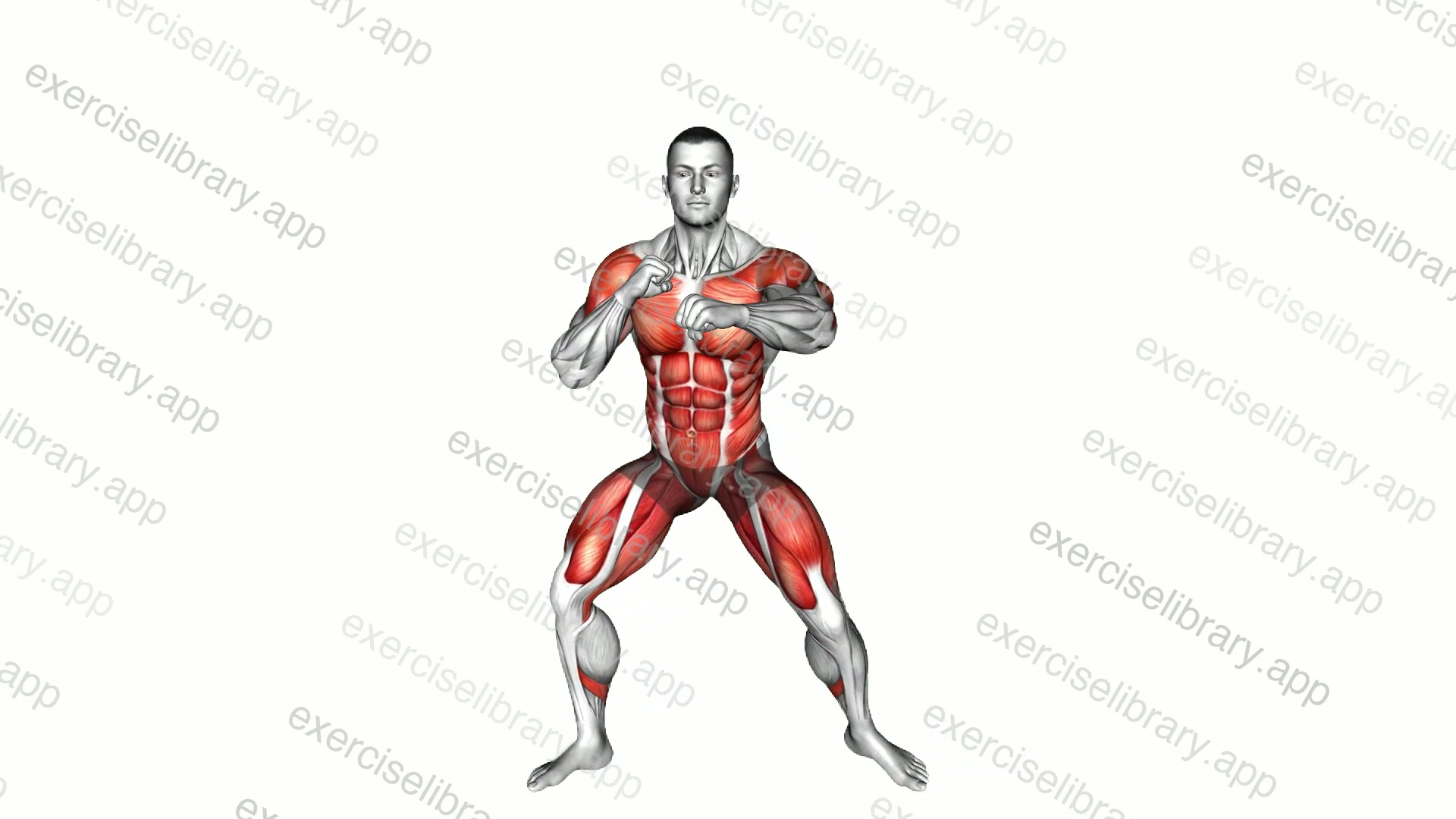 Squat Side-up Hook Punch demonstration