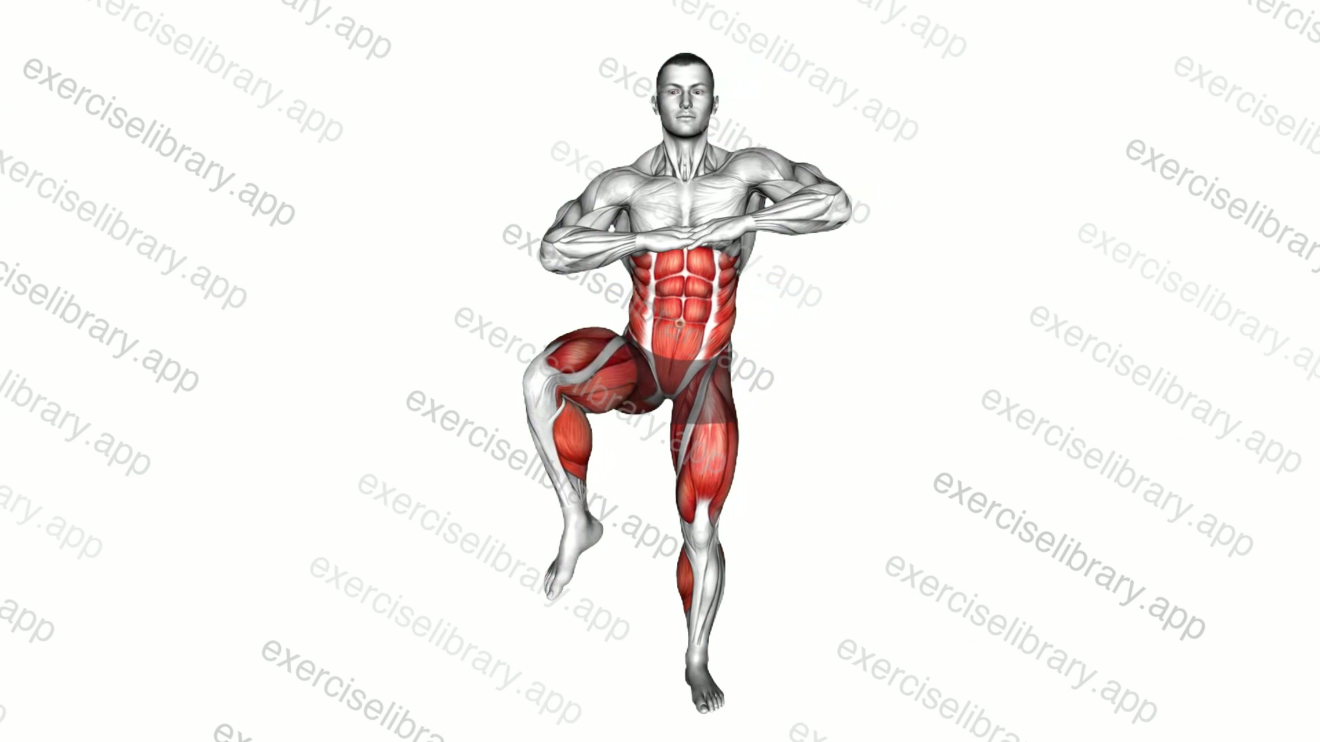 Straight Arm Double Knee Drive demonstration