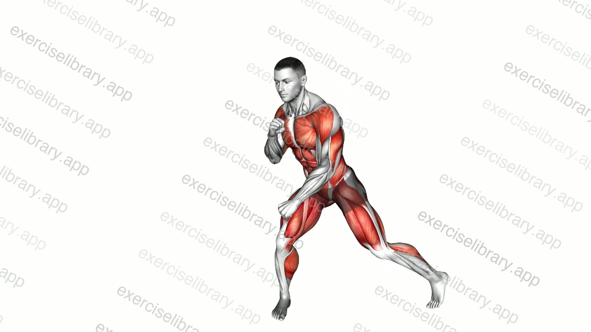 Single Arm Punch and Side Knee Raise demonstration