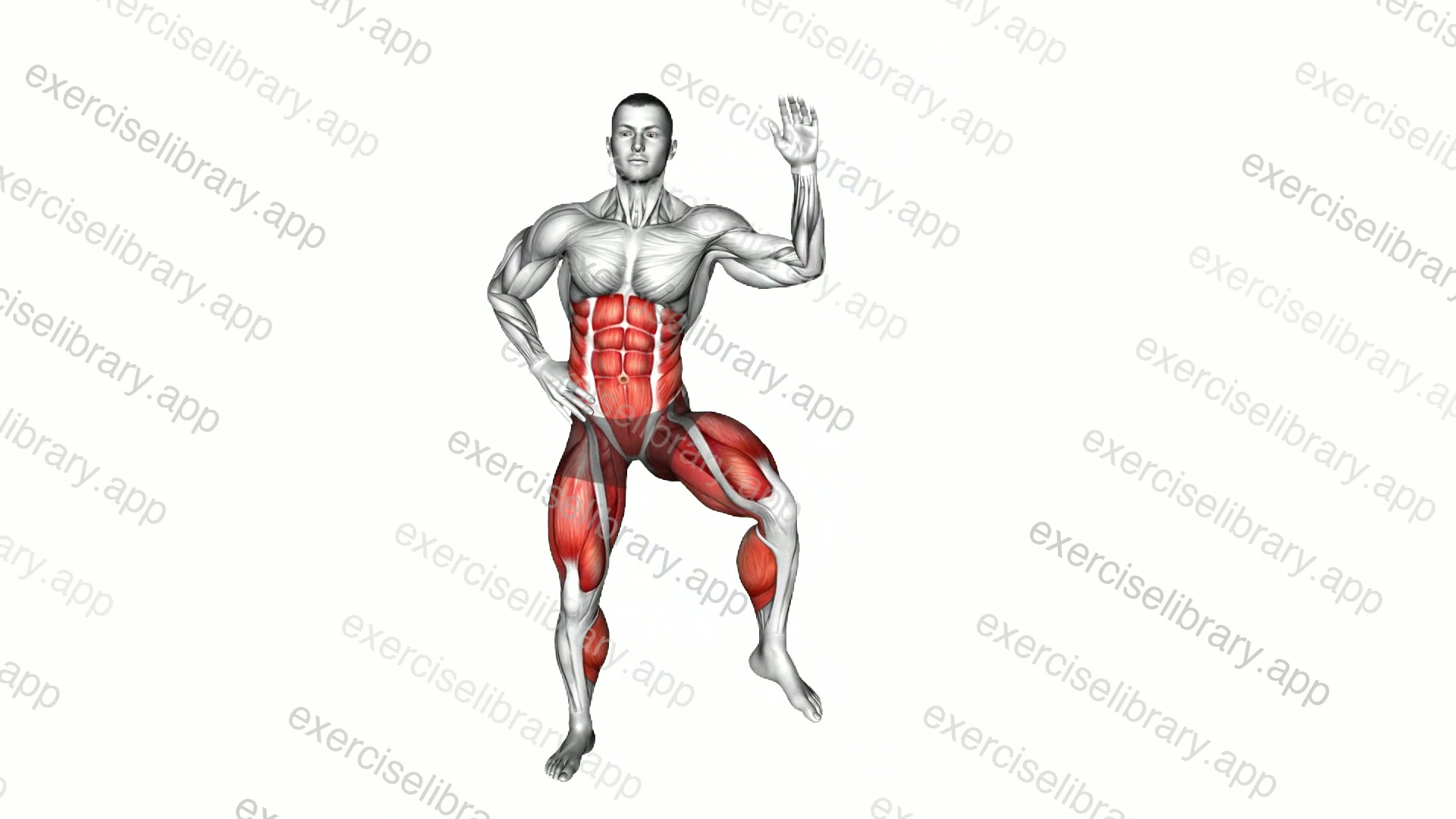 Side Step Crunch demonstration
