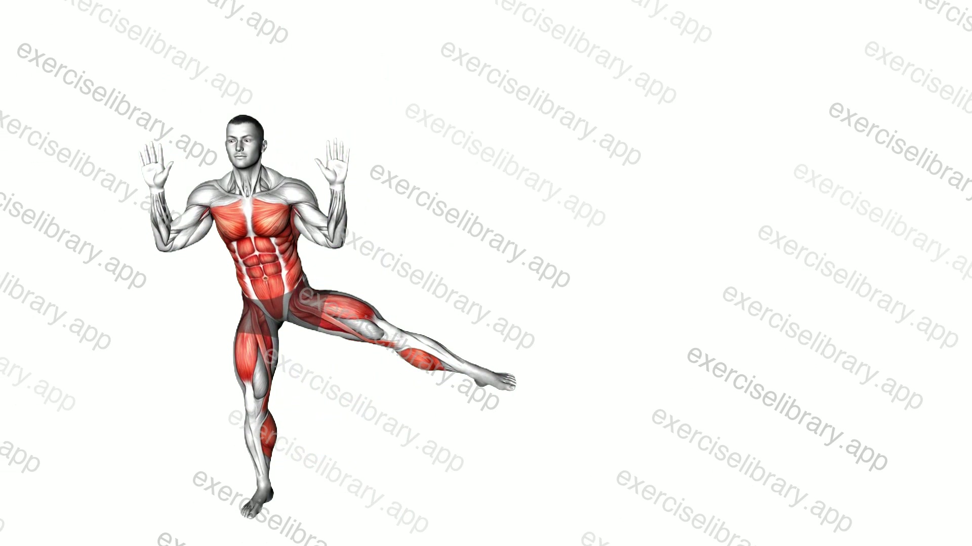 Side Shuffle Leg Side Lift demonstration
