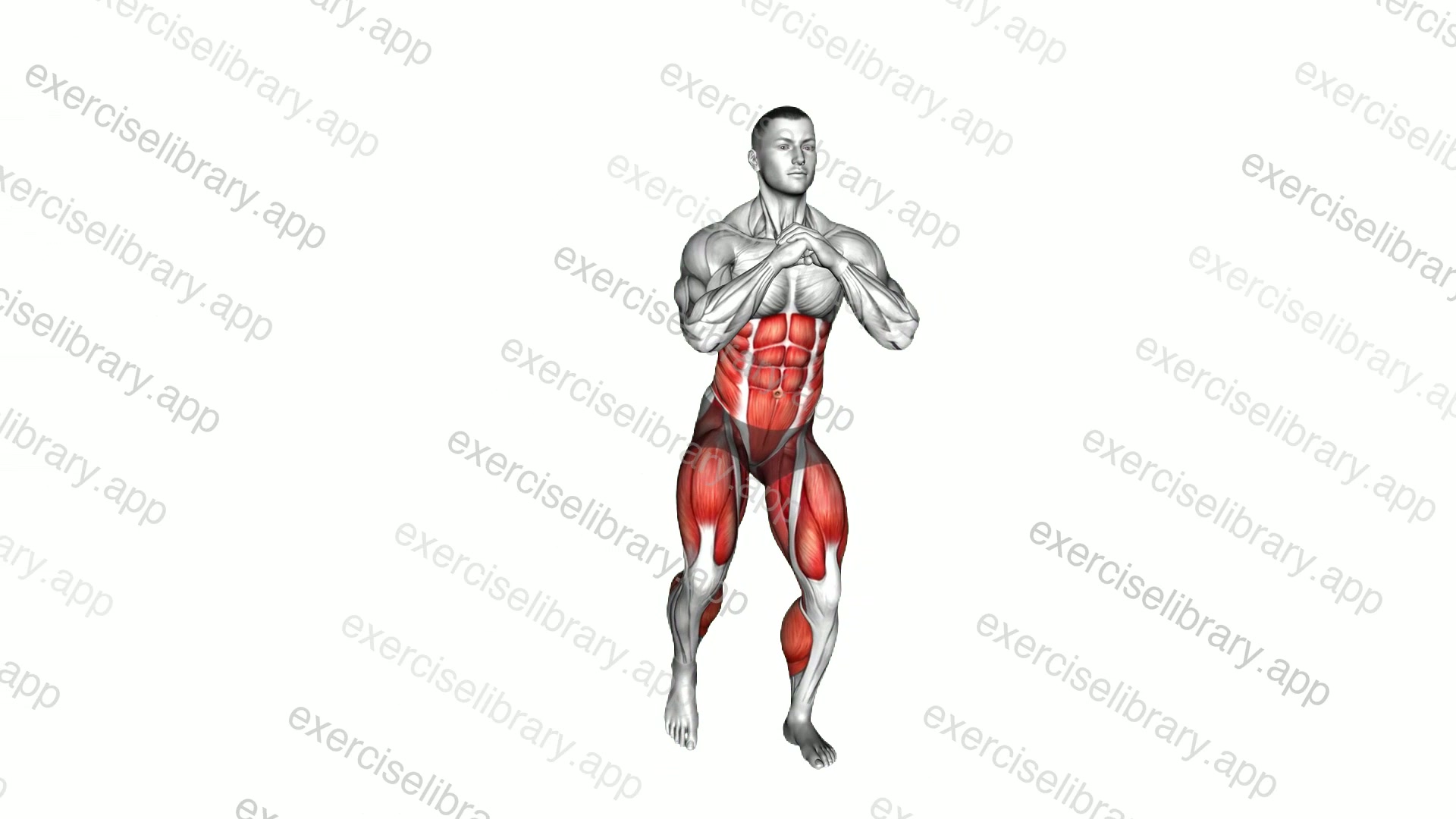 Standing Side Kick demonstration