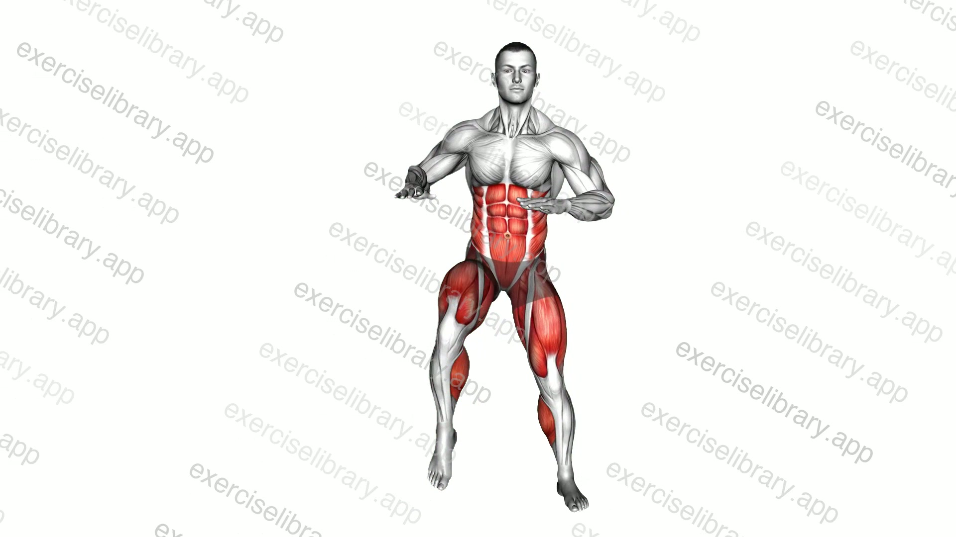 Double Knee Thrust and Swipe demonstration