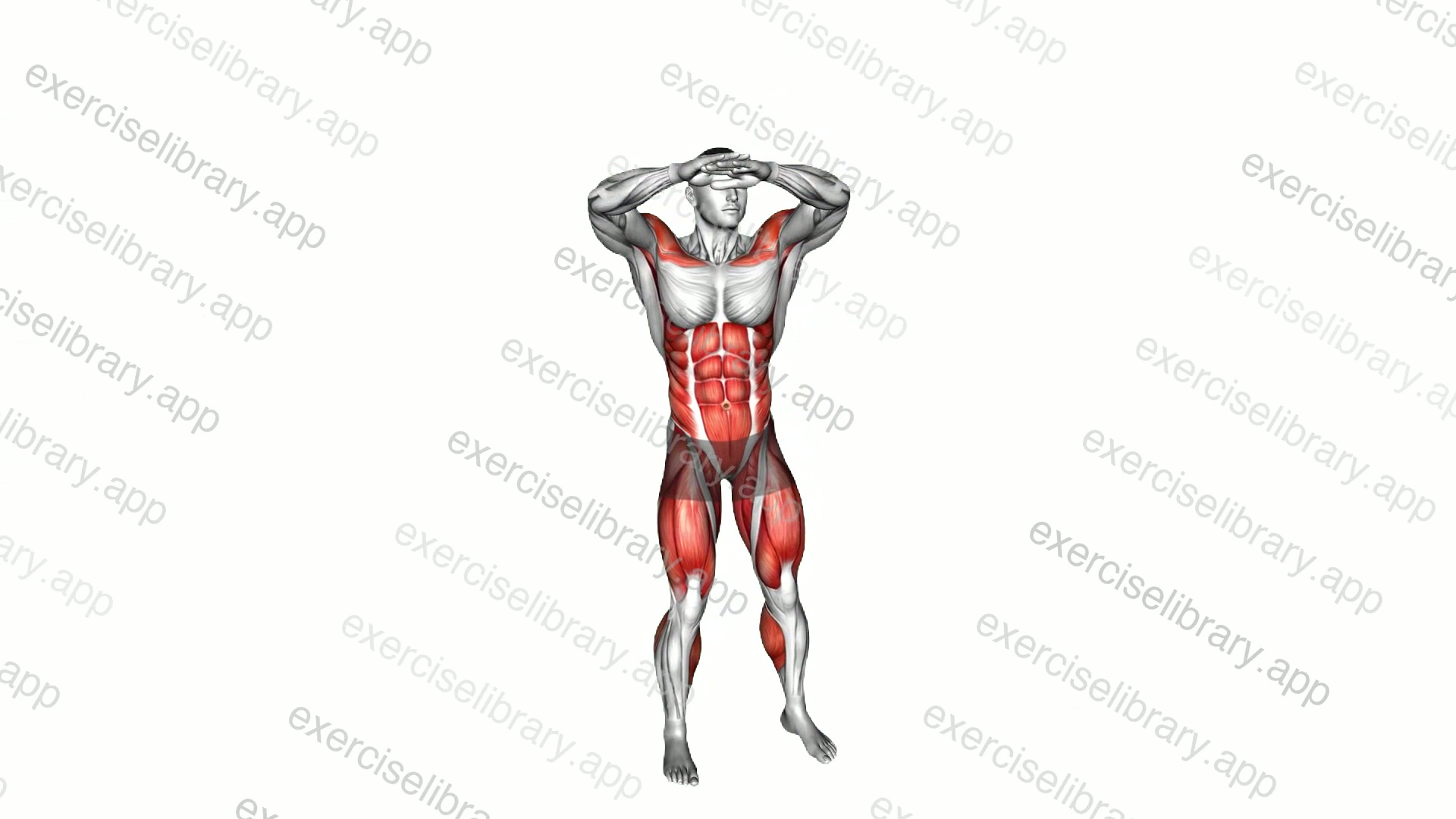 Twist Front Raise demonstration