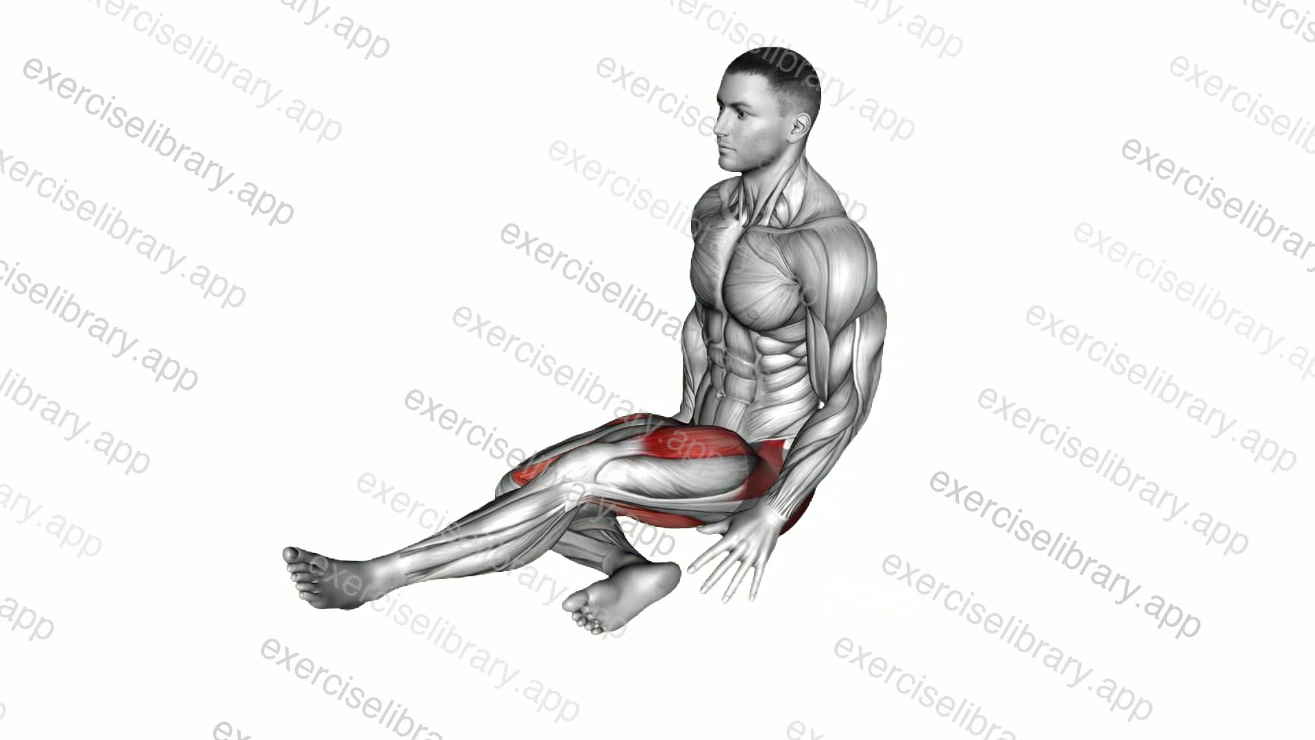 Knee Hug Glute Stretch demonstration