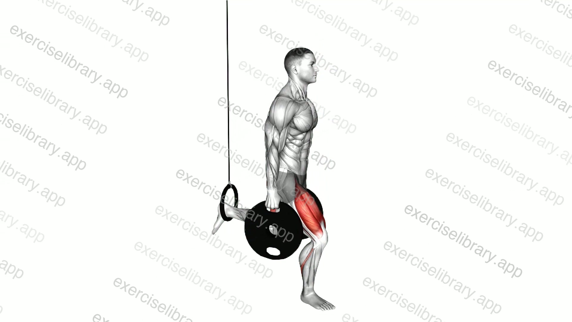 Weighted Plates Bulgarian Split Squat with the Ring demonstration