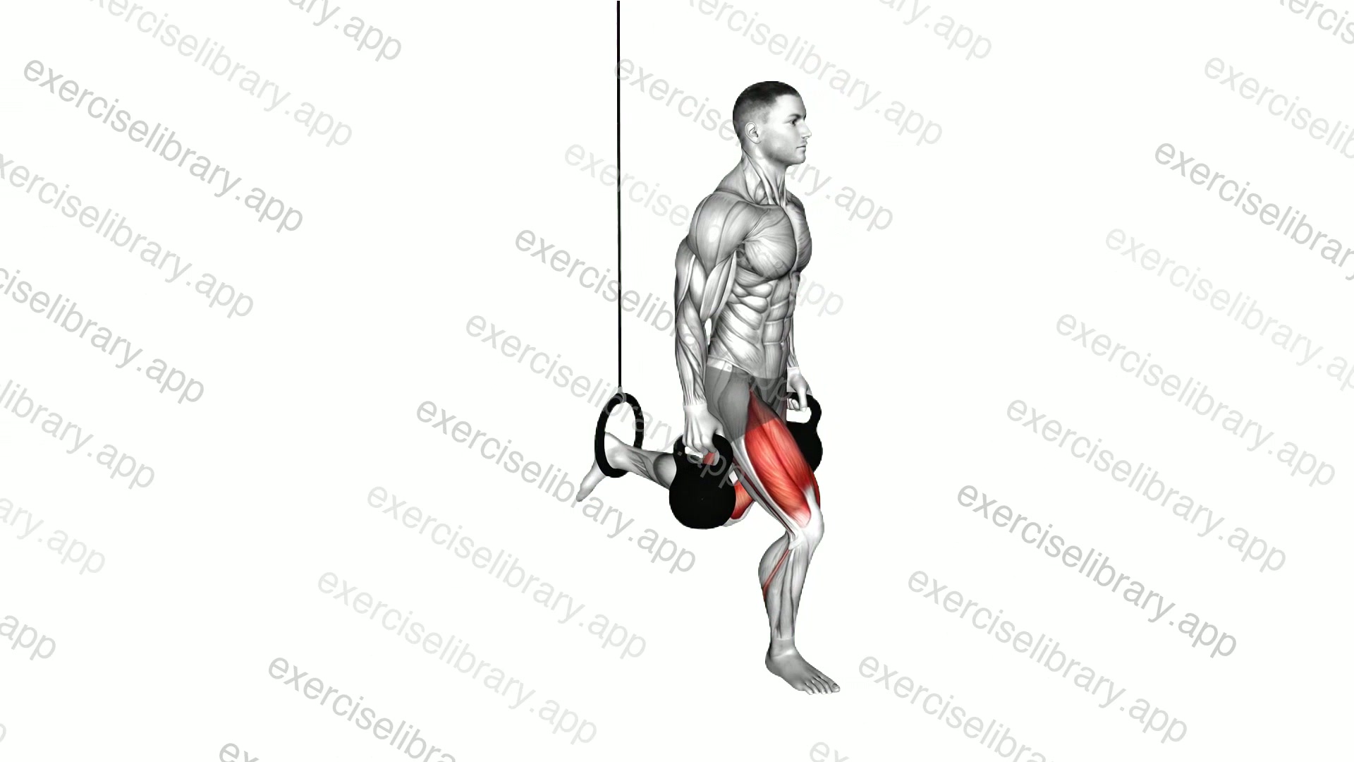 Kettlebell Single Leg Split Squat with the Ring demonstration