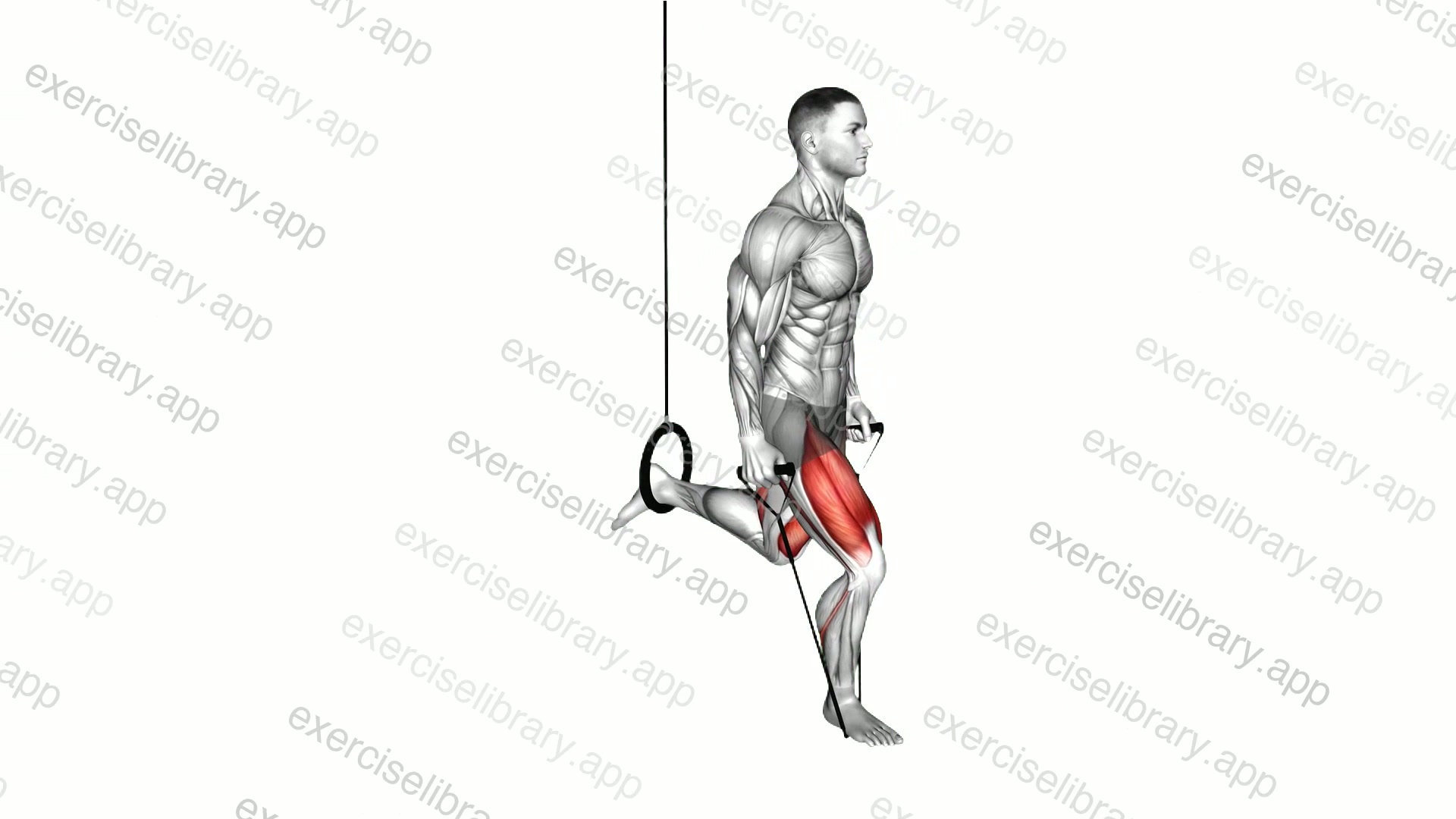 Band Single Leg Split Squat with the Ring demonstration