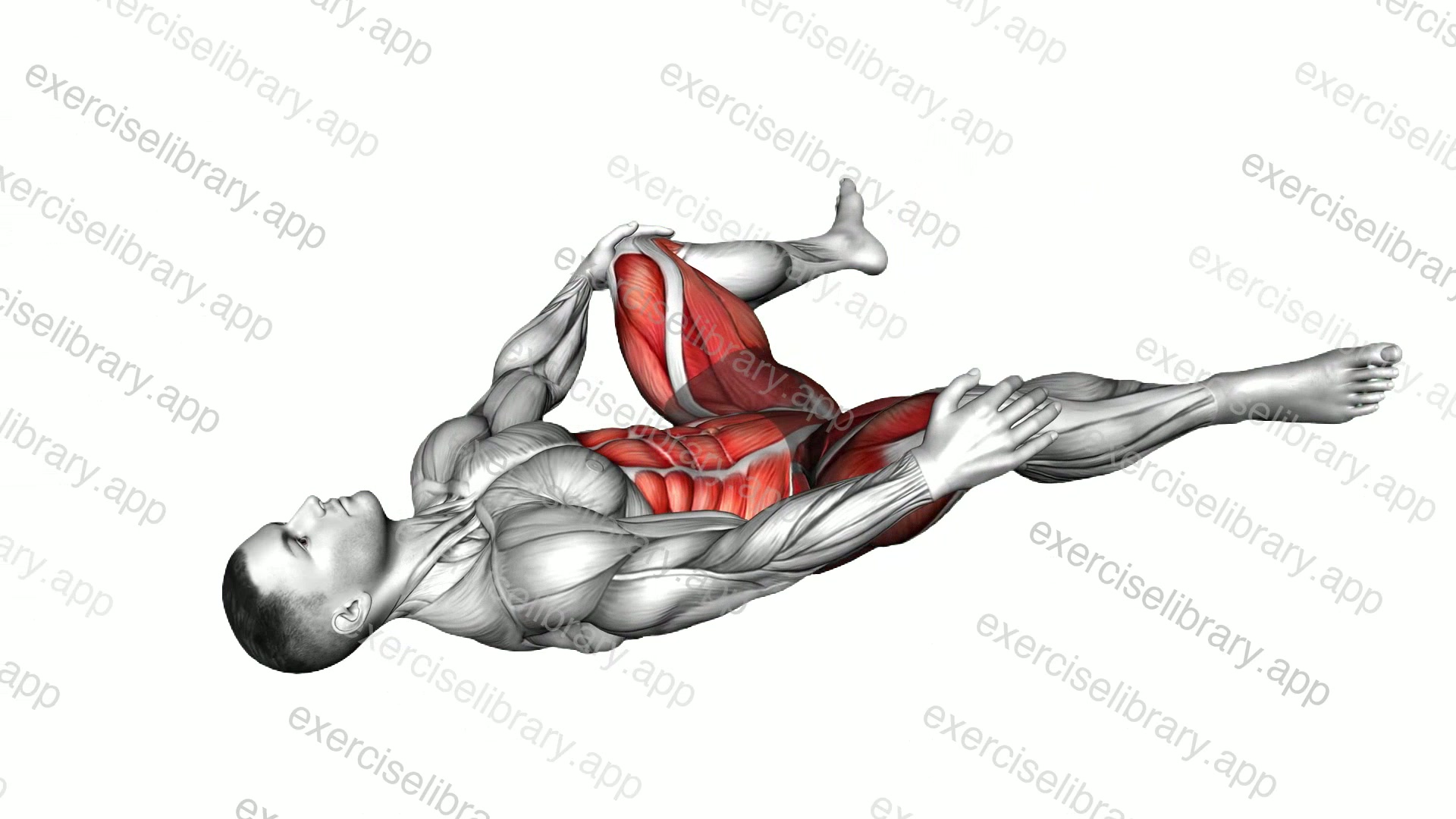 Lying Hip Circle demonstration