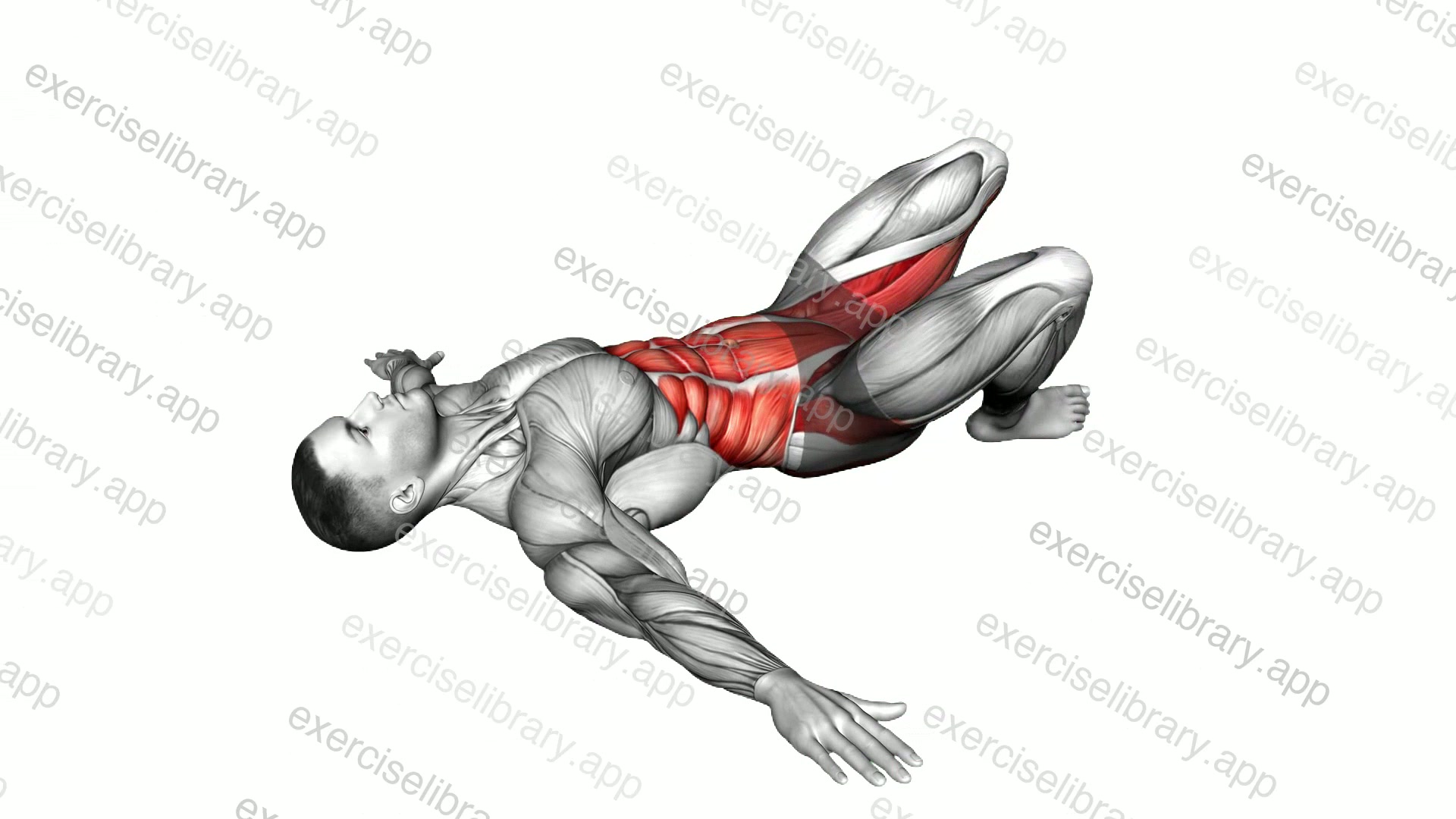 Supine Windshield Wipers demonstration