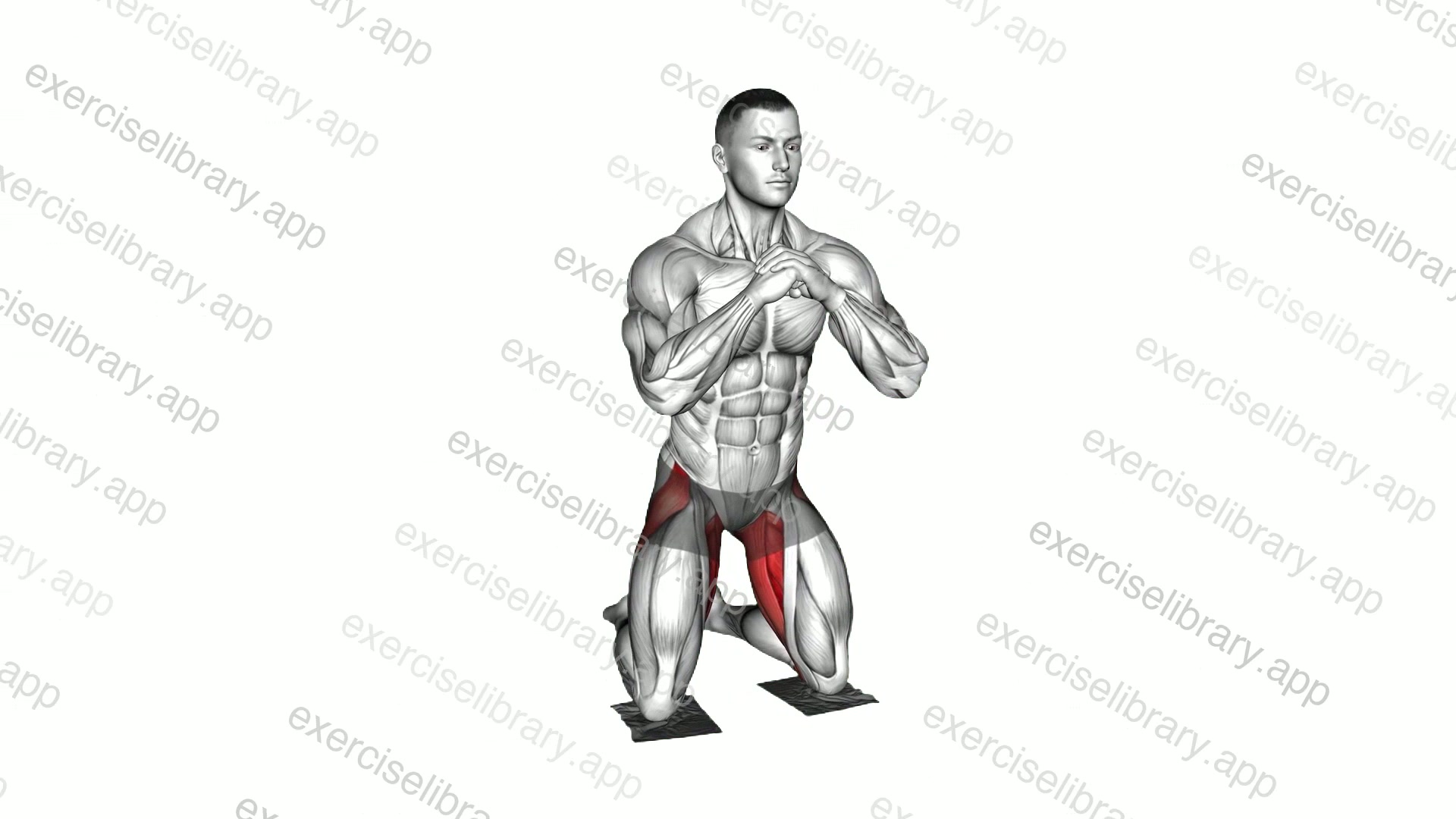 Bodyweight Kneeling Butterfly with Towels demonstration