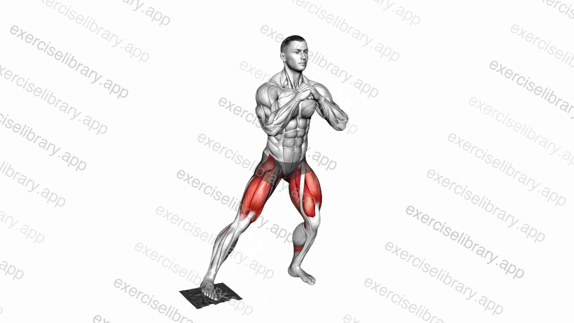 Bodyweight Side Squat with Towel demonstration