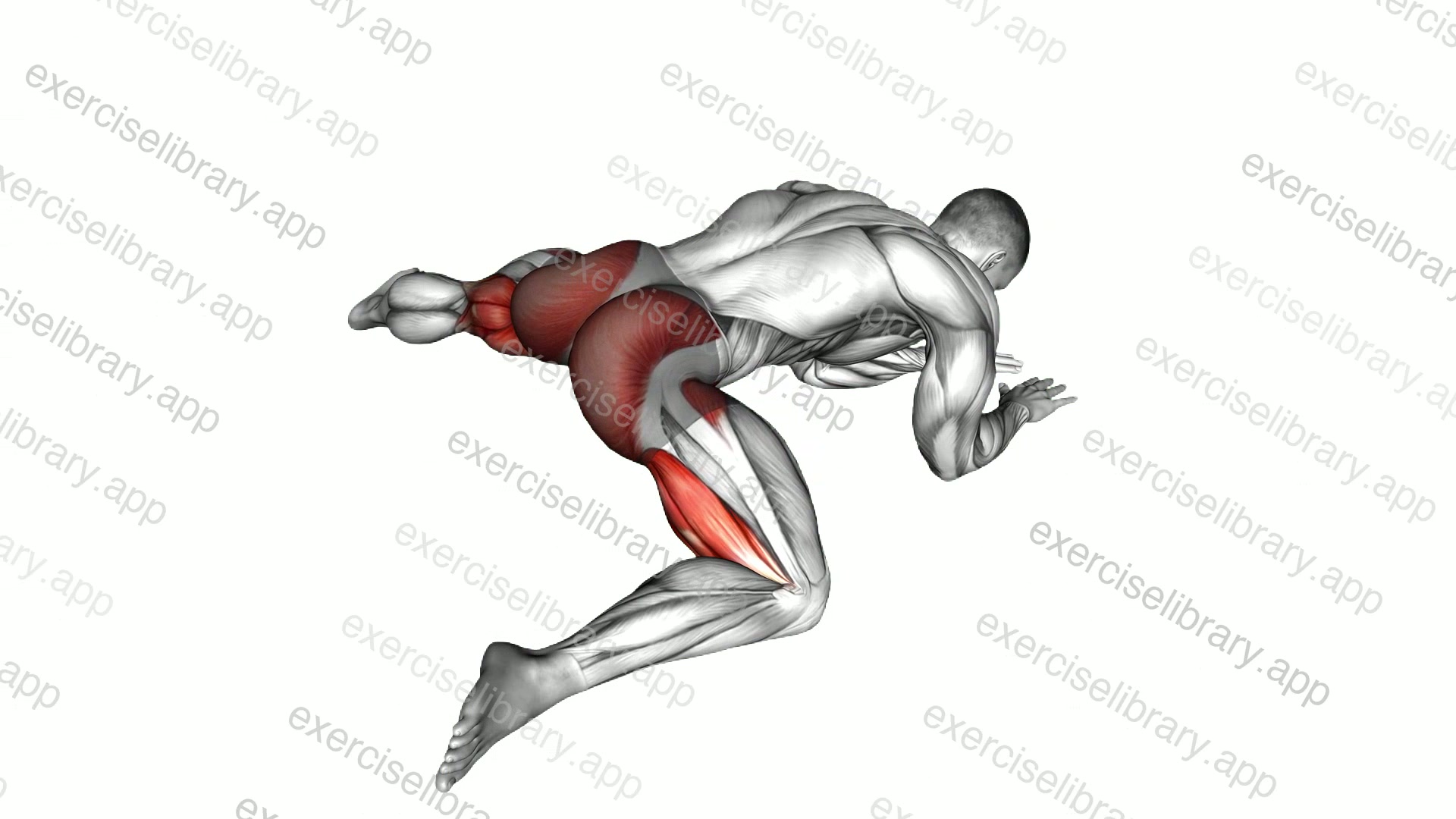 Rocking Half Frog Stretch demonstration