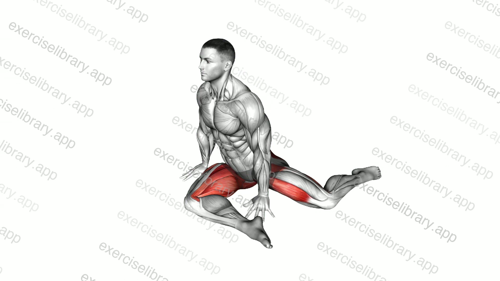 90 to 90 Stretch demonstration