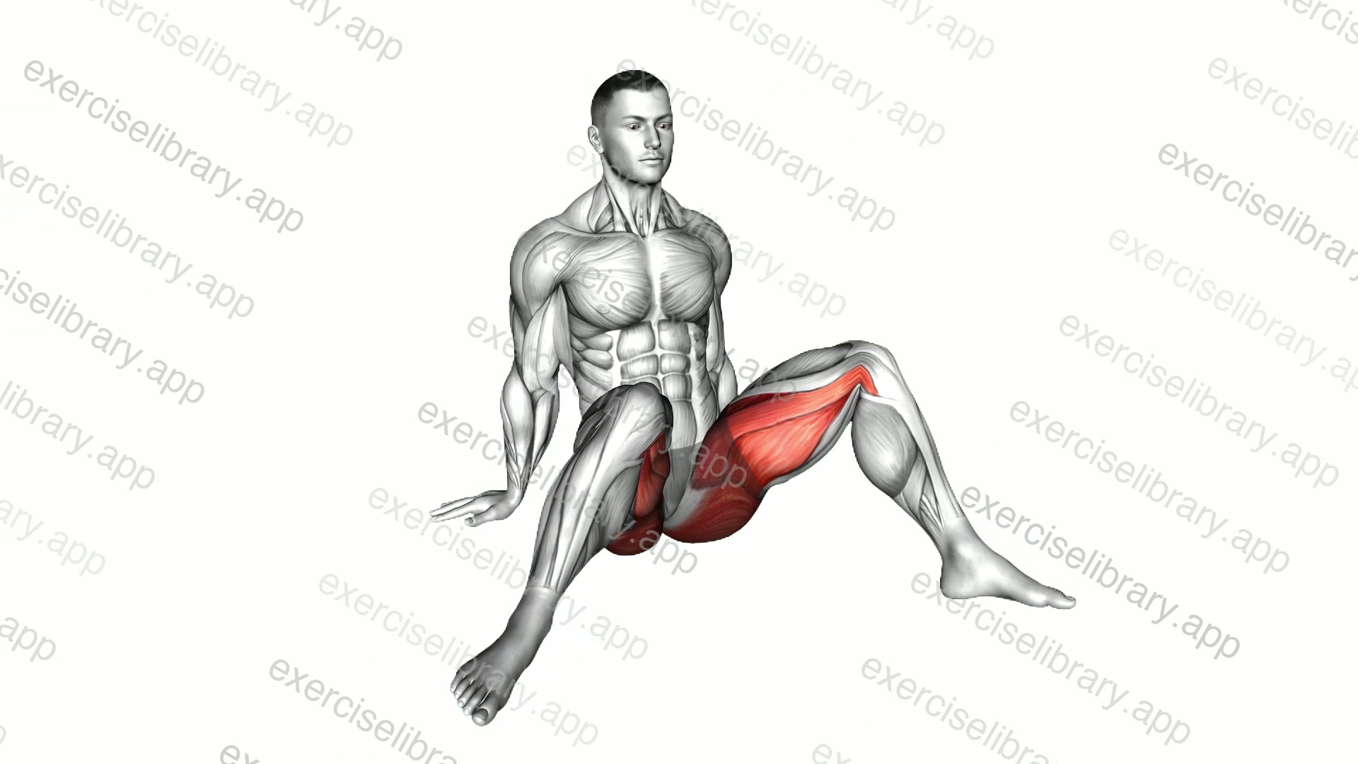 Seated Alternate Wide Side Adduction demonstration