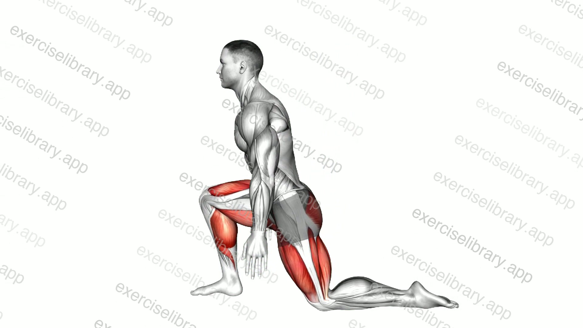 Dynamic Weight Bearing Ankle Dorsi Flexion demonstration