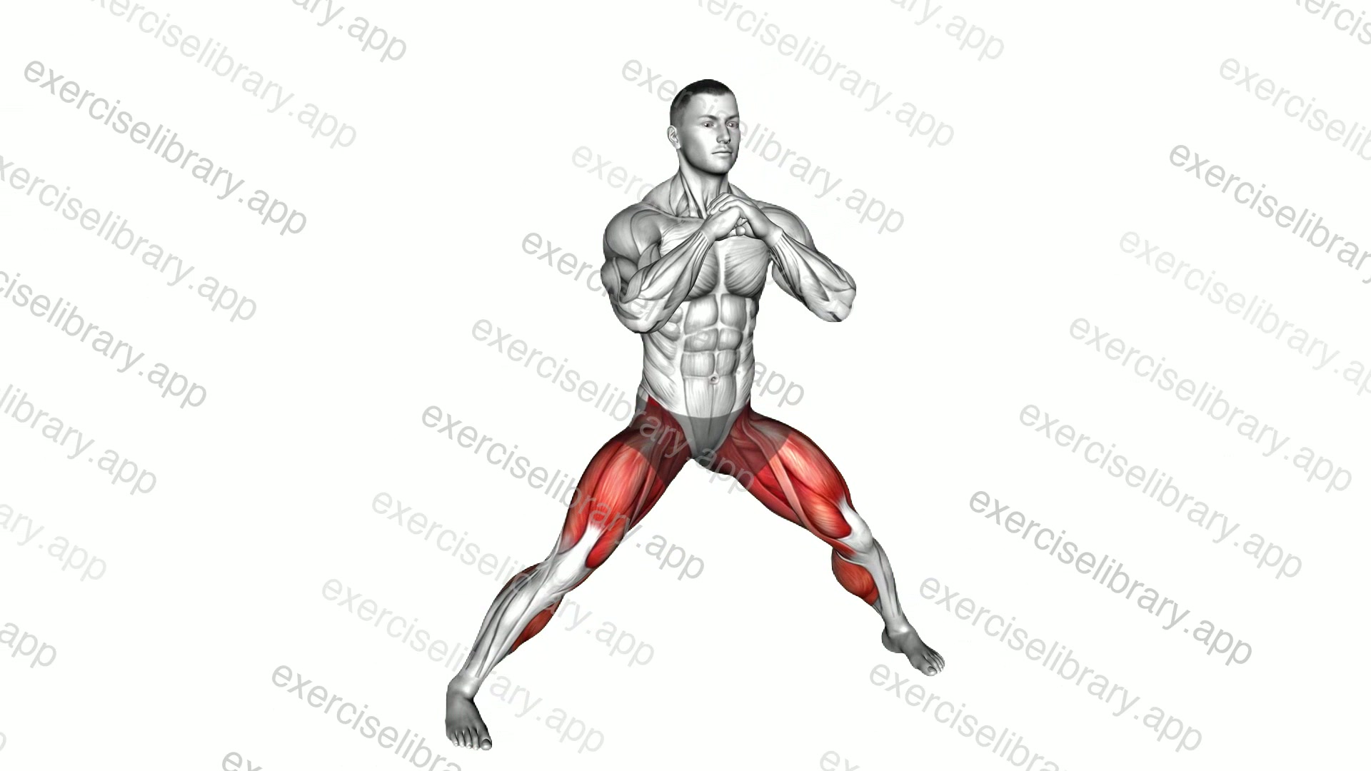 Horse Stance Squat demonstration