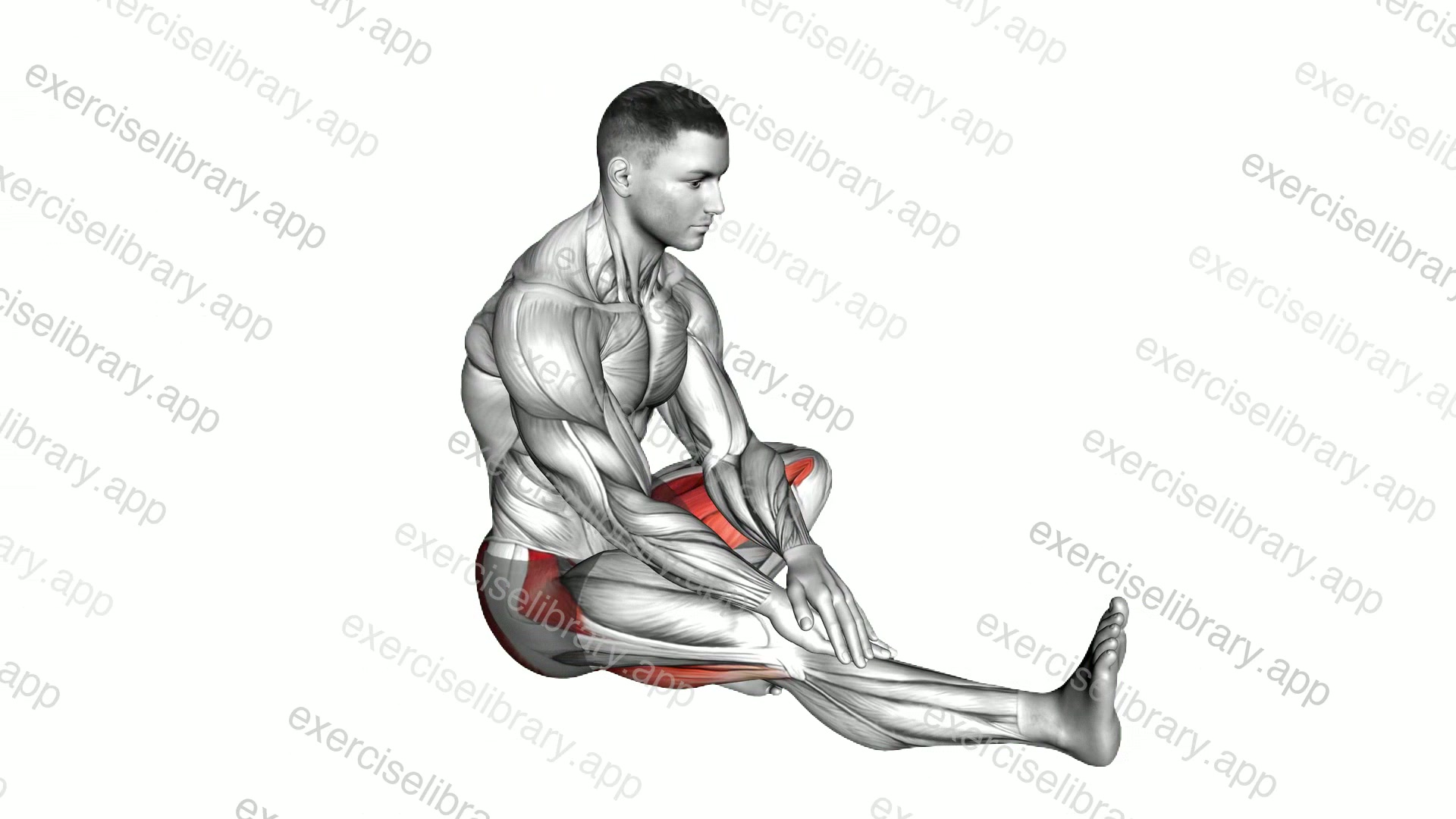Head to Knee Janu Sirsasana Yoga Pose demonstration