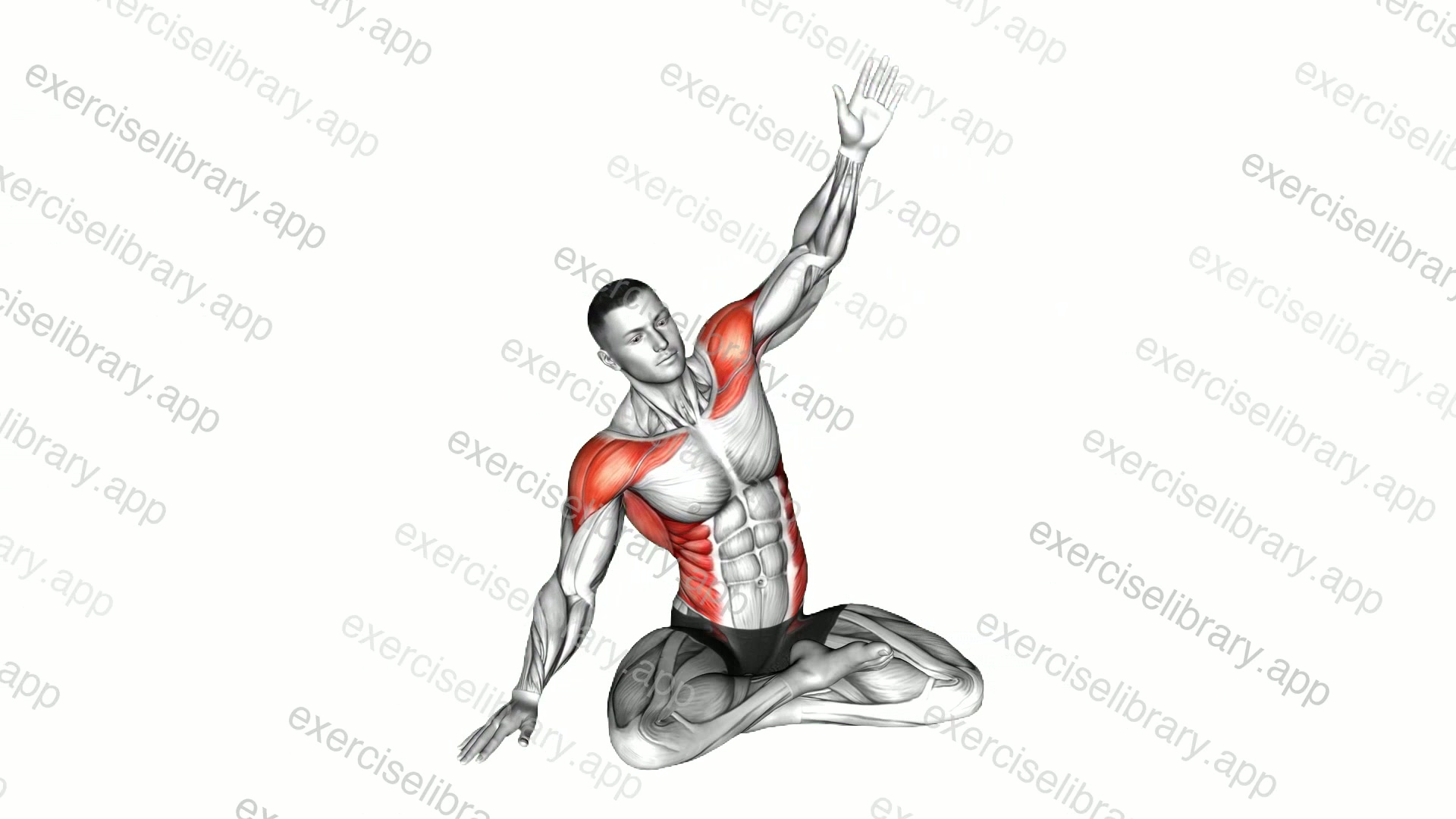 Sitting Dynamic Side Stretch demonstration
