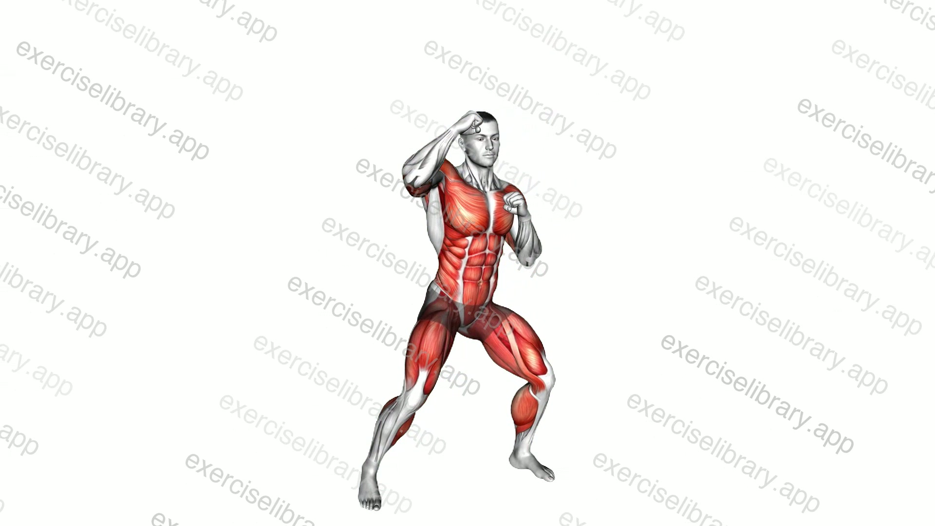 Squat Bounce Sky Punch demonstration