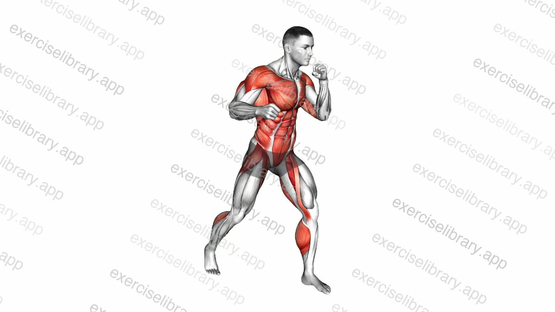 Boxing Right Left Hook demonstration