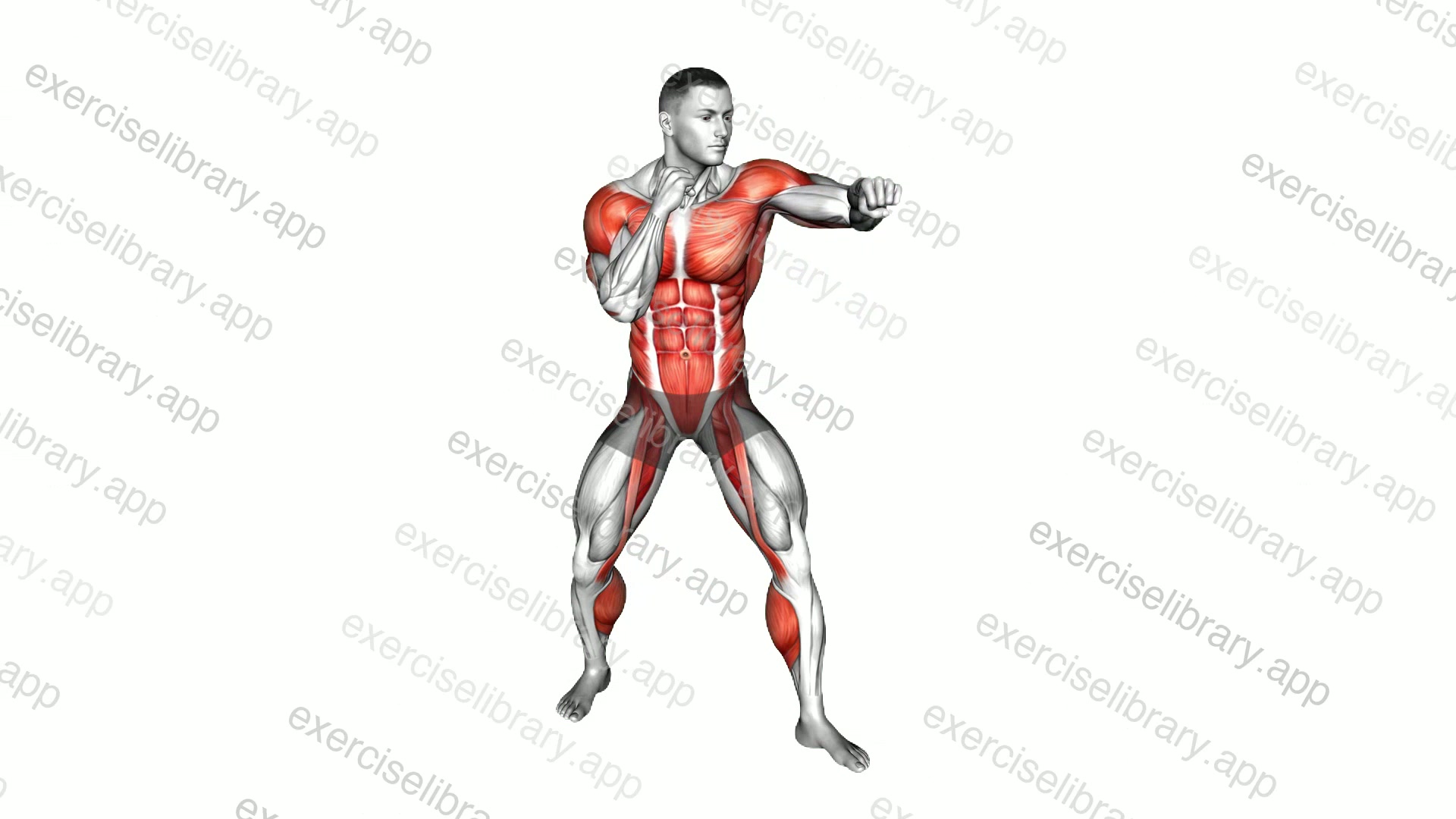 Jab Jab Right Cross demonstration