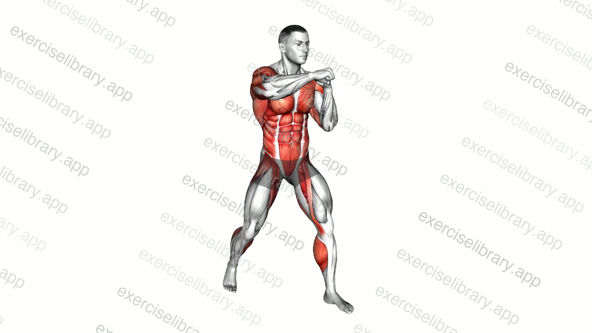 Boxing Cross Hook Cross demonstration
