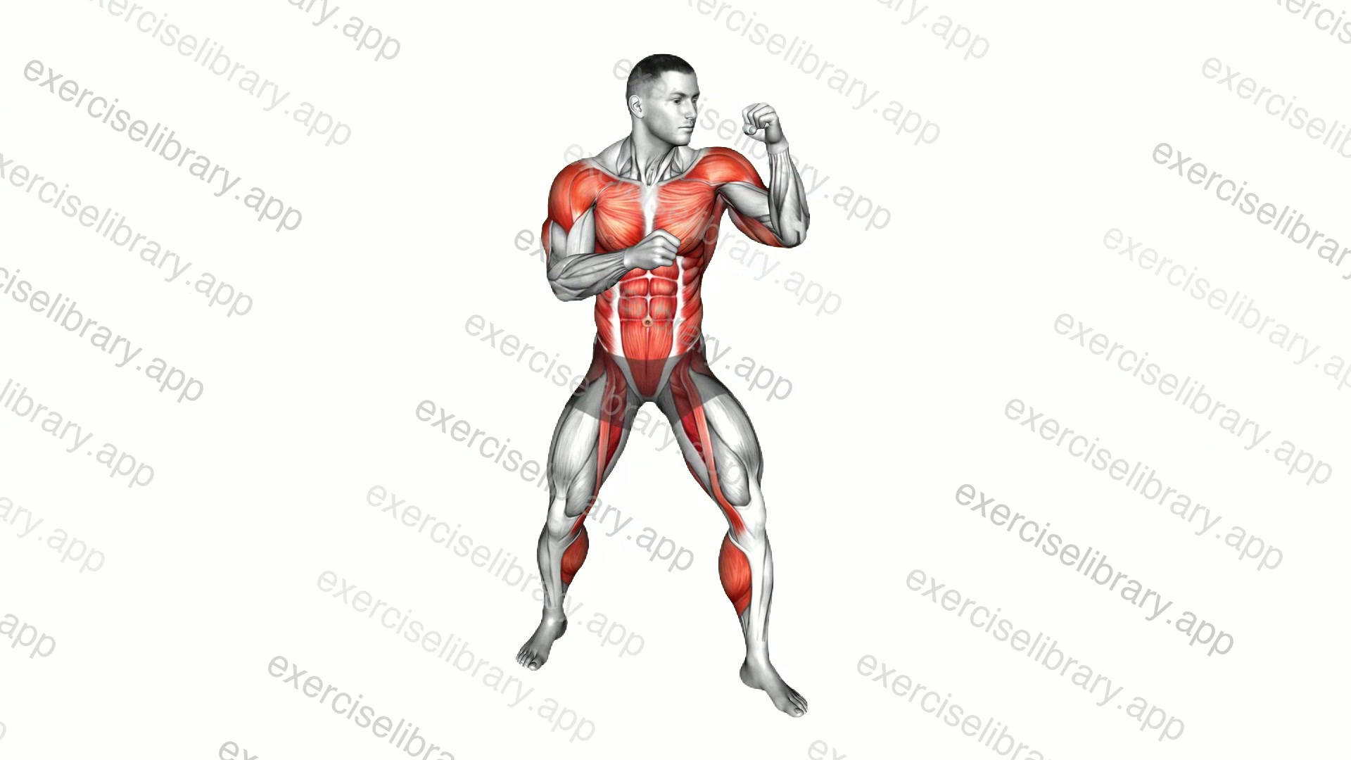 Max Speed Uppercut demonstration