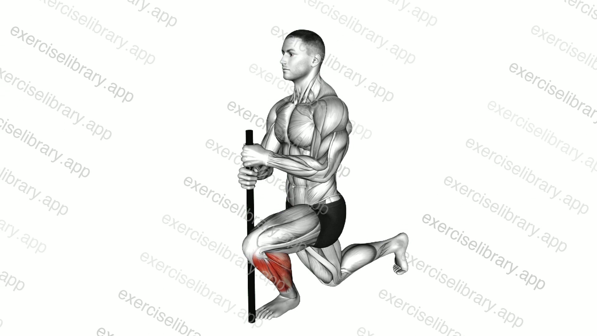 Kneeling Ankle Stretch demonstration